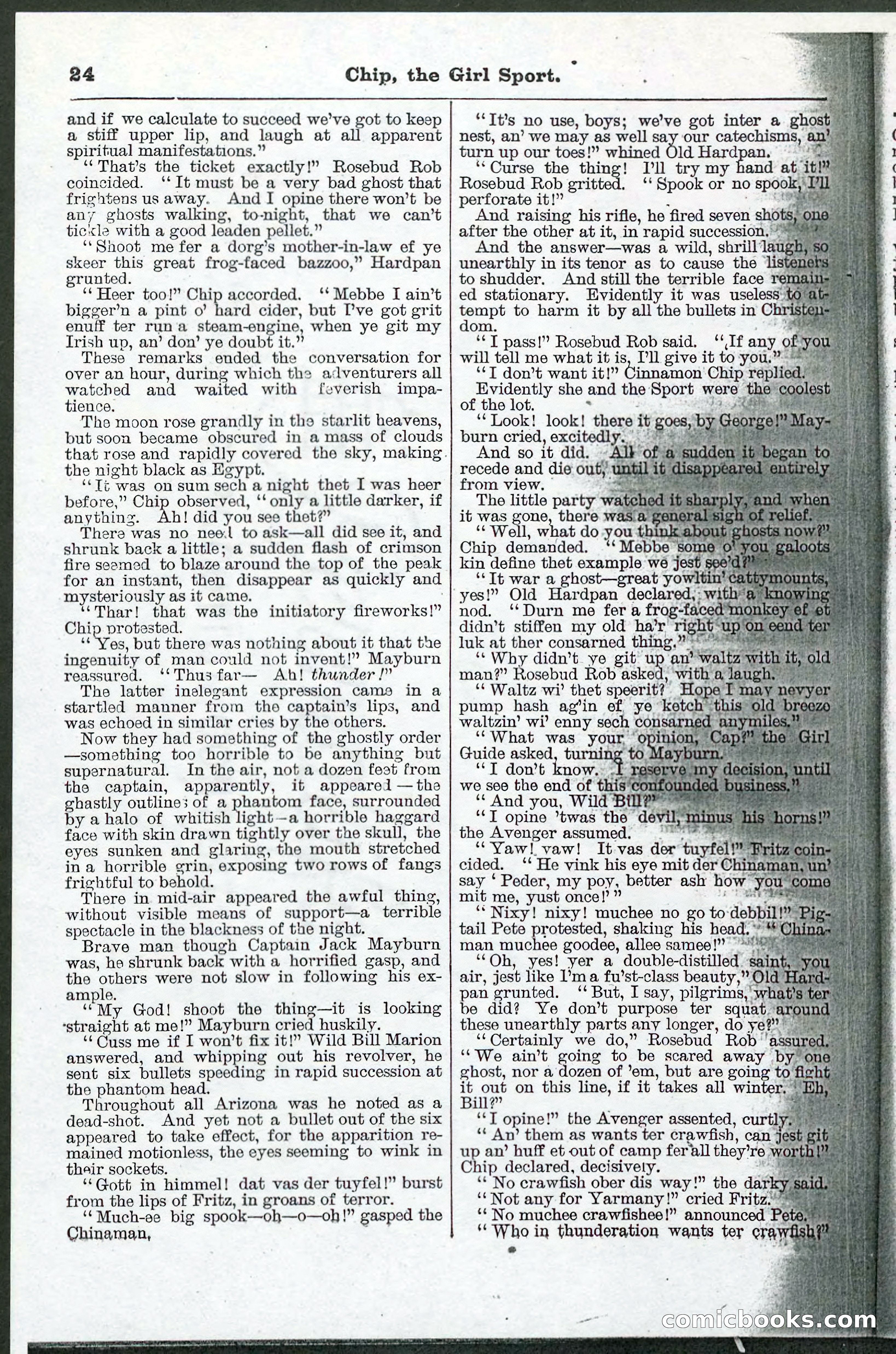 Beadle's Pocket Library No. 103 — page 24 of 32
