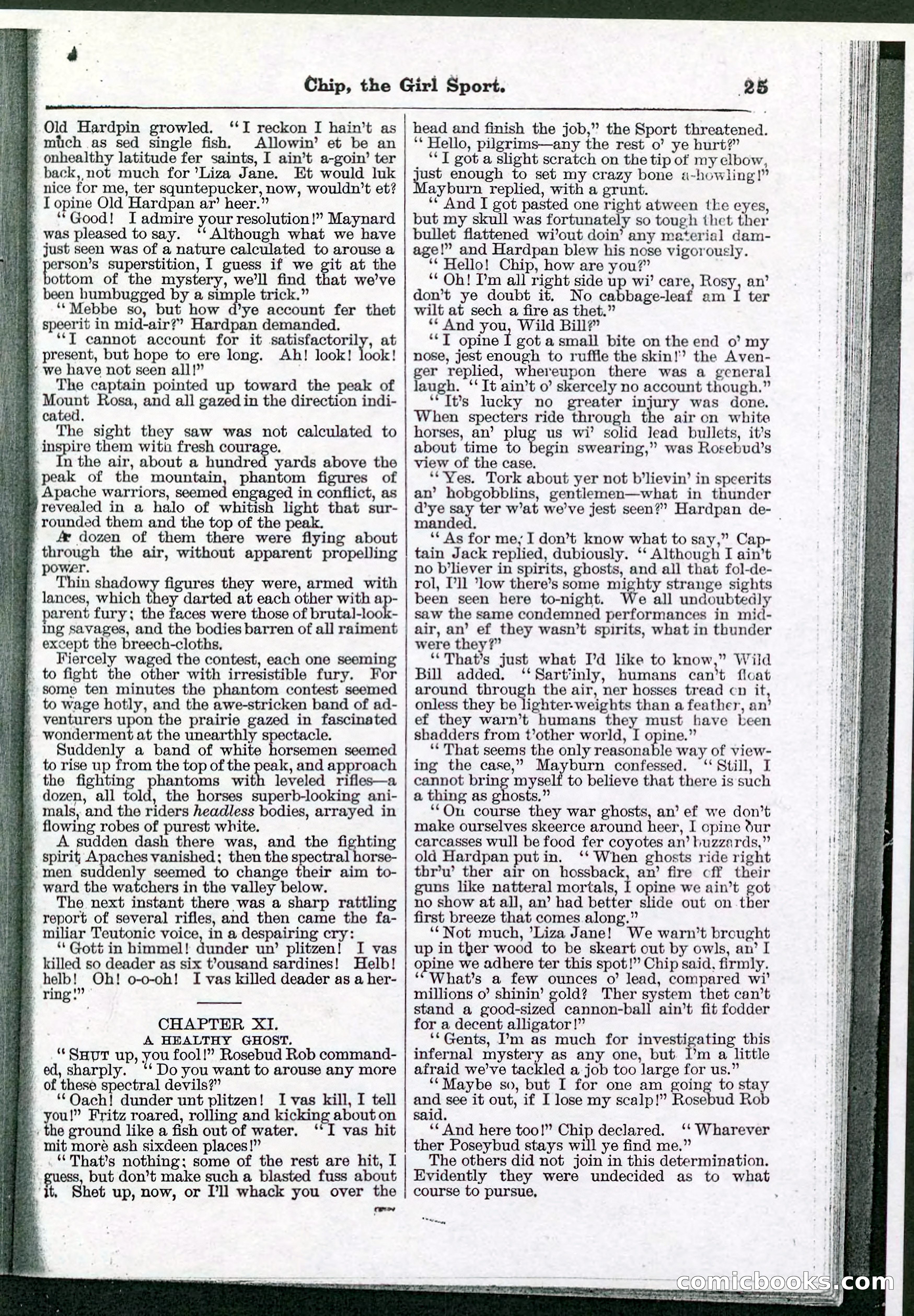 Beadle's Pocket Library No. 103 — page 25 of 32