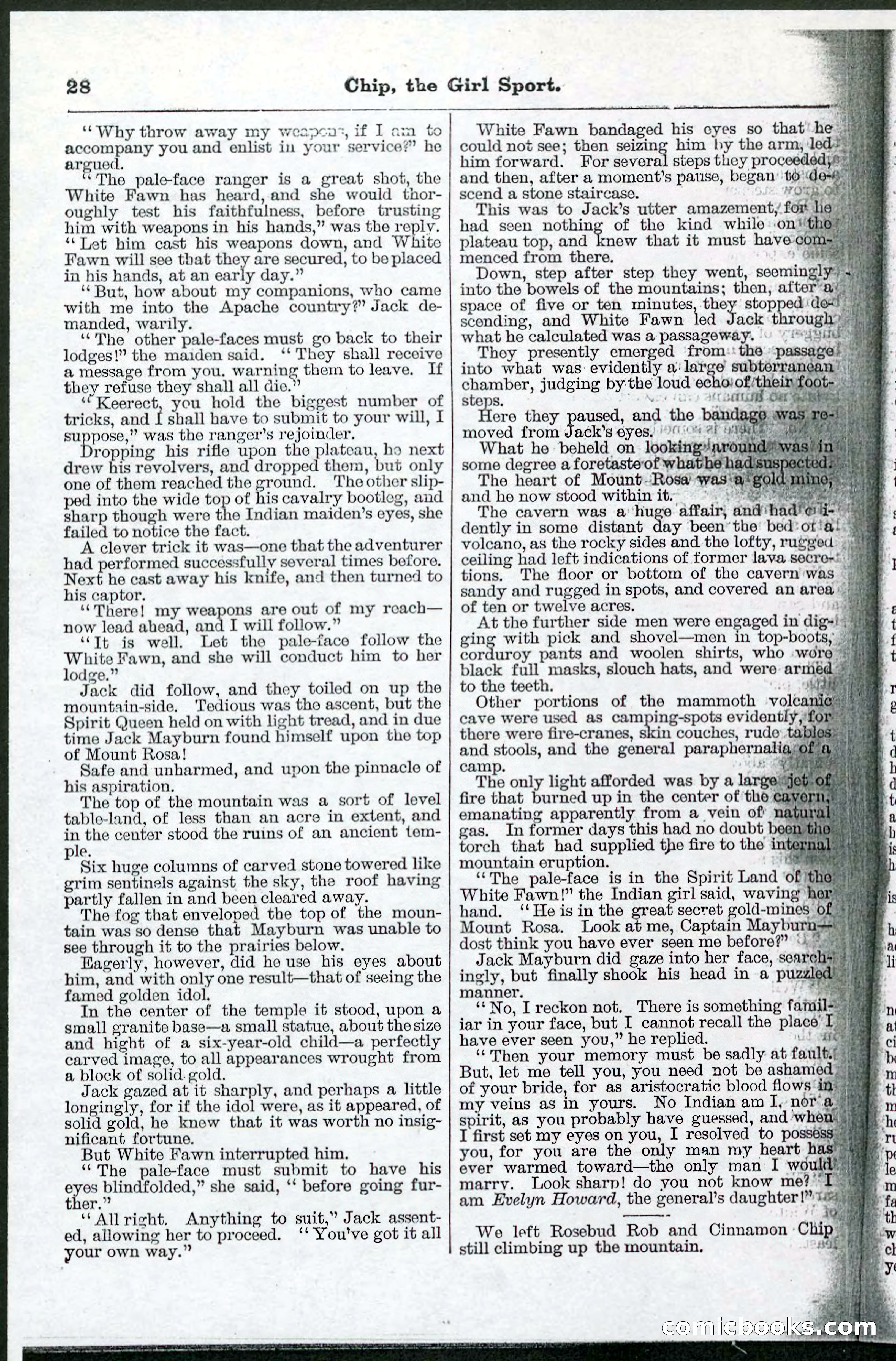Beadle's Pocket Library No. 103 — page 28 of 32
