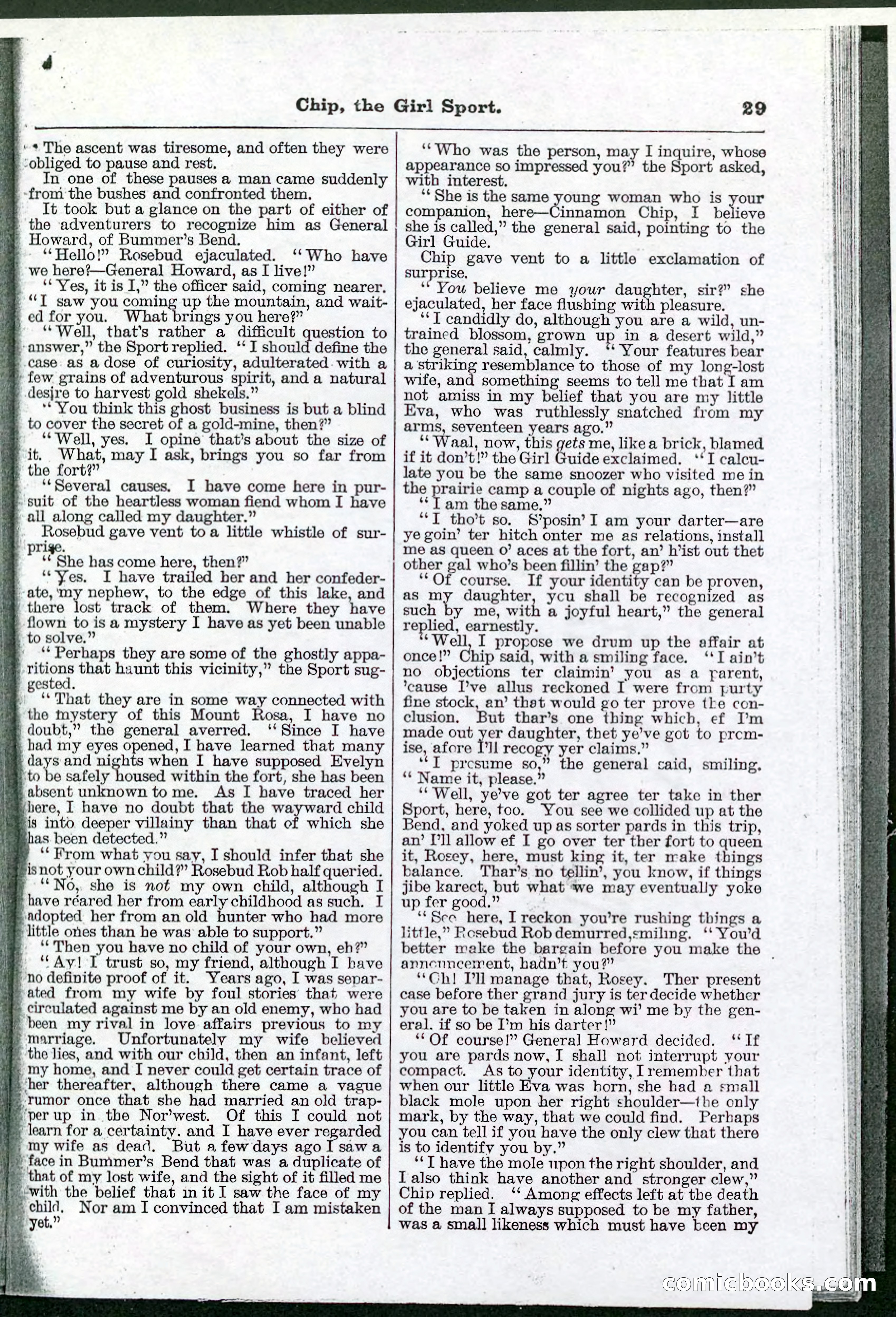 Beadle's Pocket Library No. 103 — page 29 of 32
