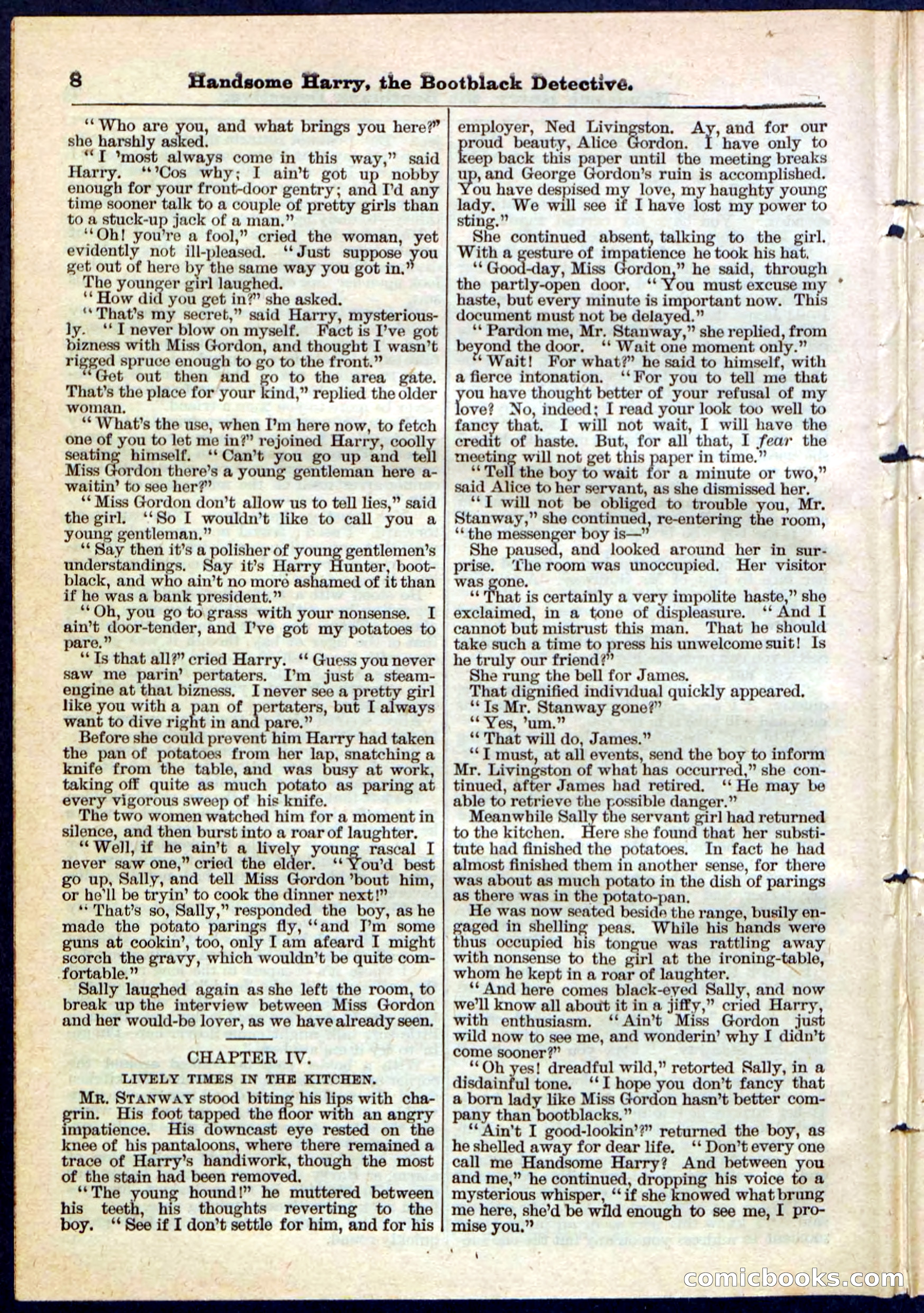 Beadle's Pocket Library, Vol. IX, No. 105 — page 8 of 32