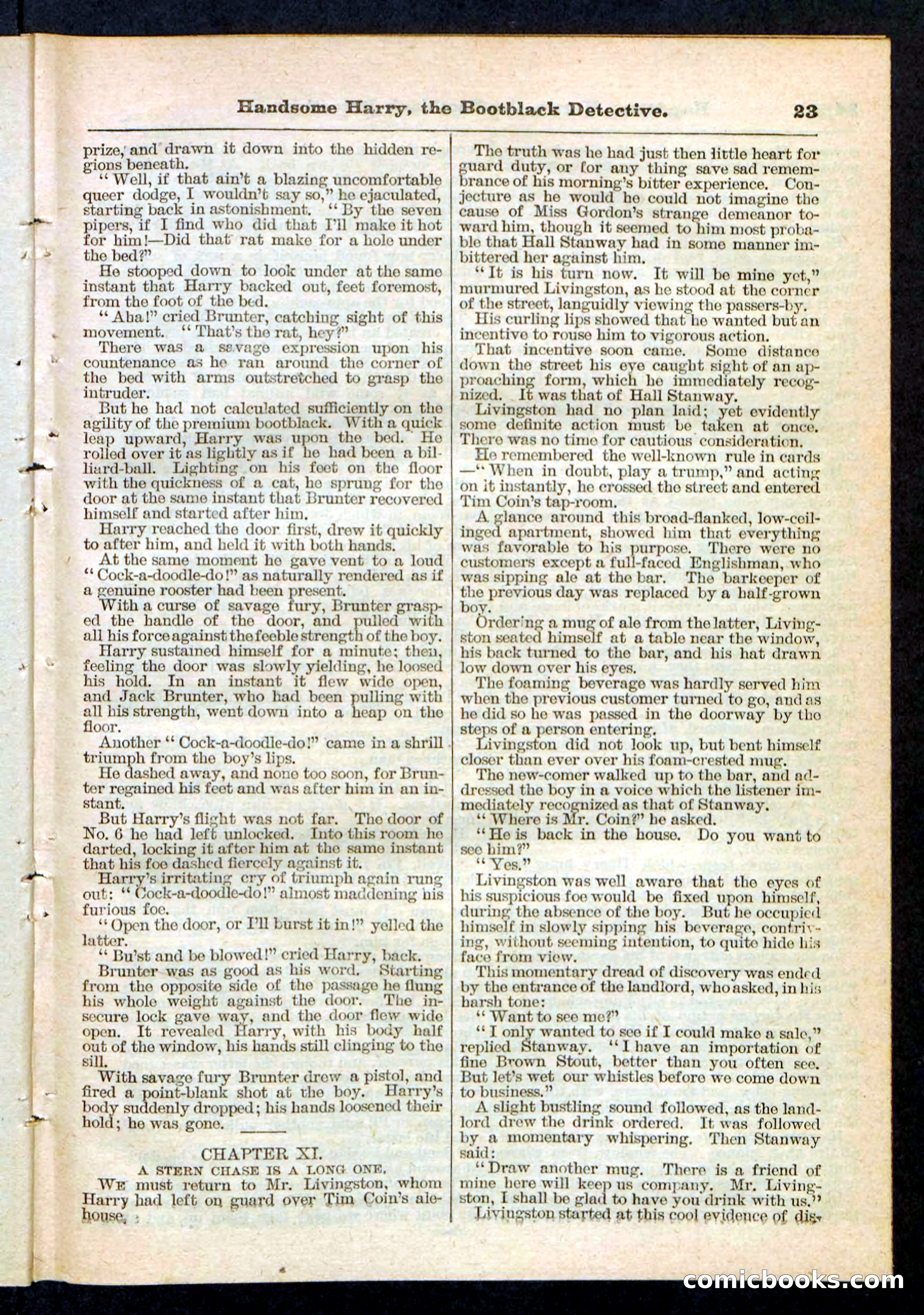 Beadle's Pocket Library, Vol. IX, No. 105 — page 23 of 32