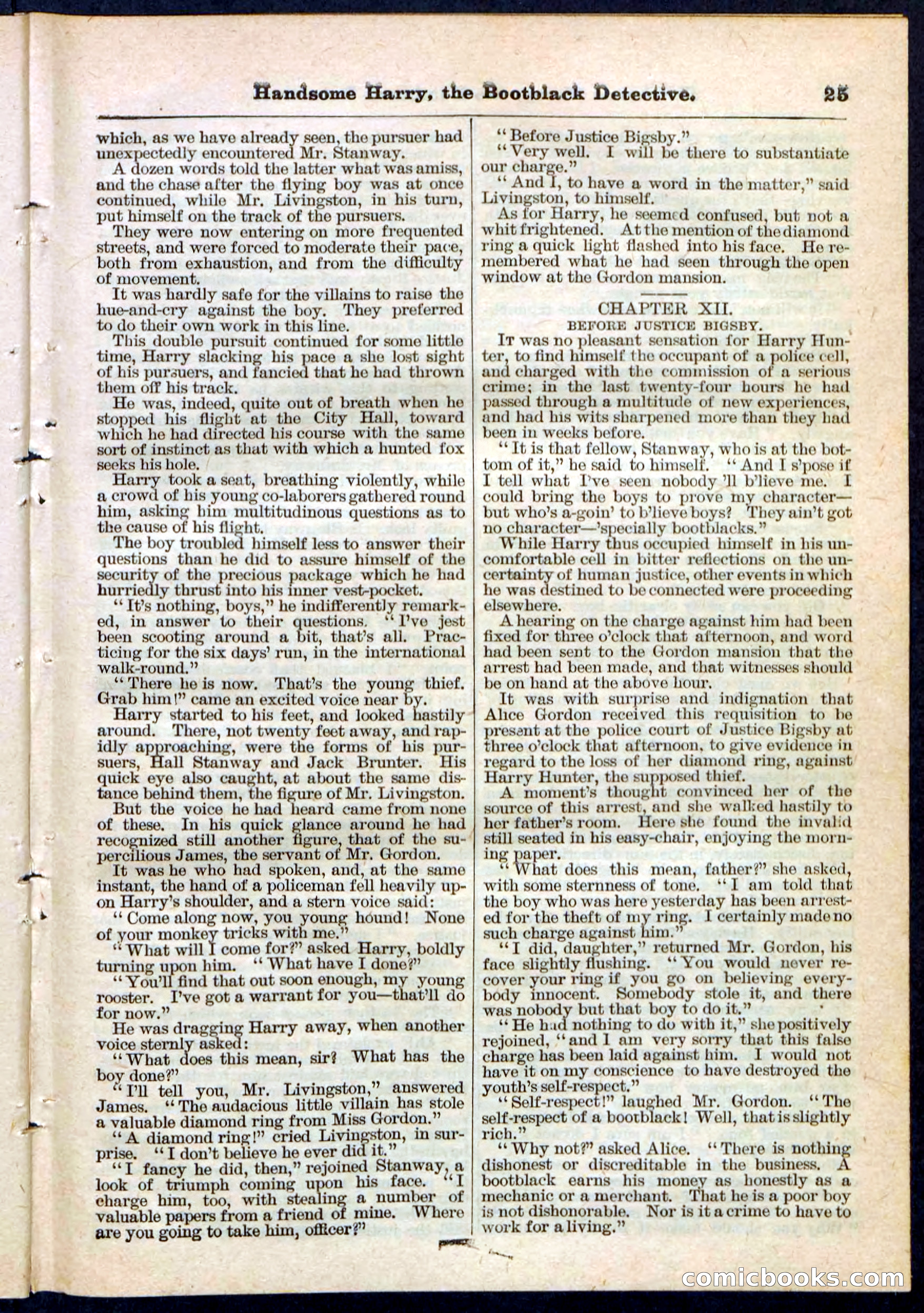 Beadle's Pocket Library, Vol. IX, No. 105 — page 25 of 32
