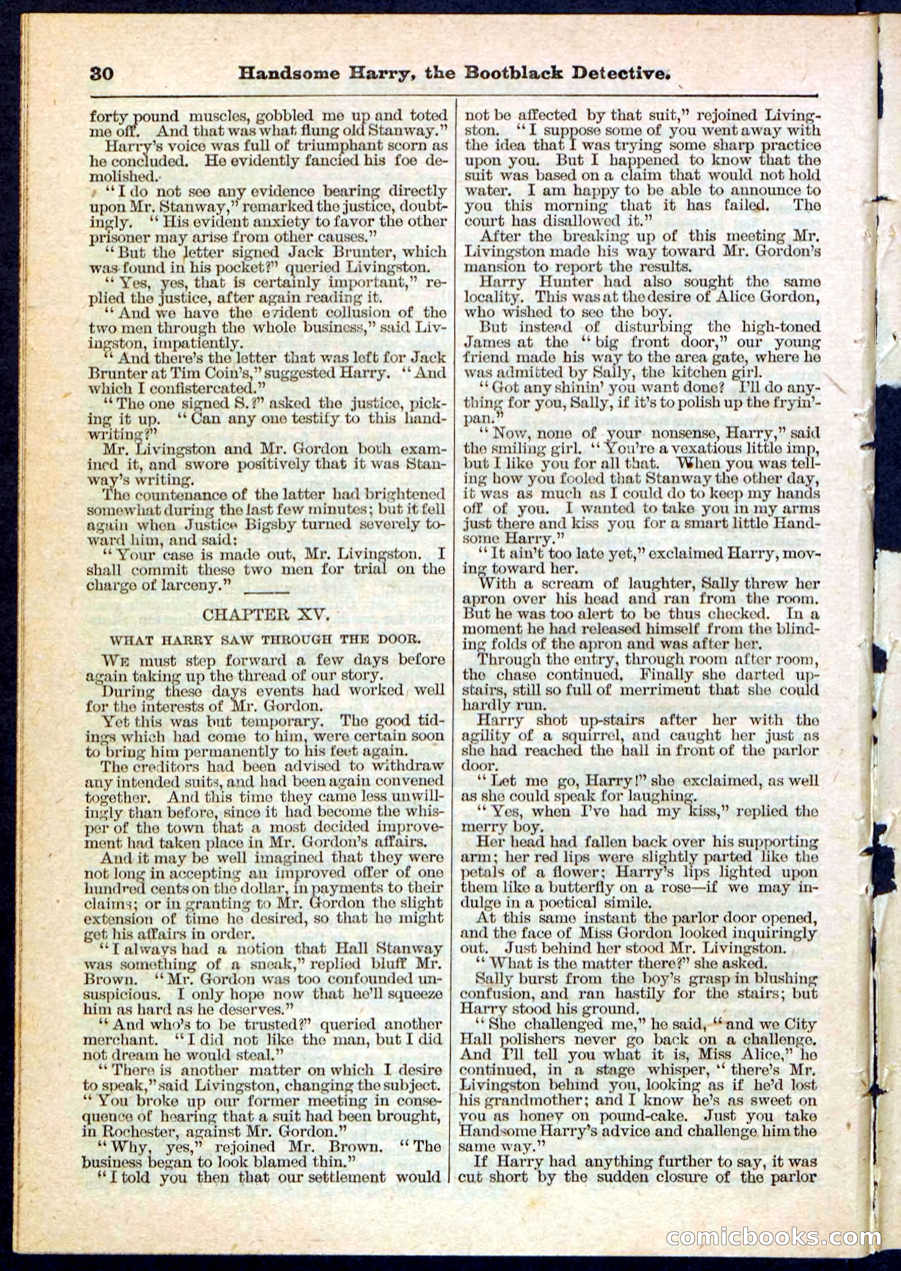 Beadle's Pocket Library, Vol. IX, No. 105 — page 30 of 32