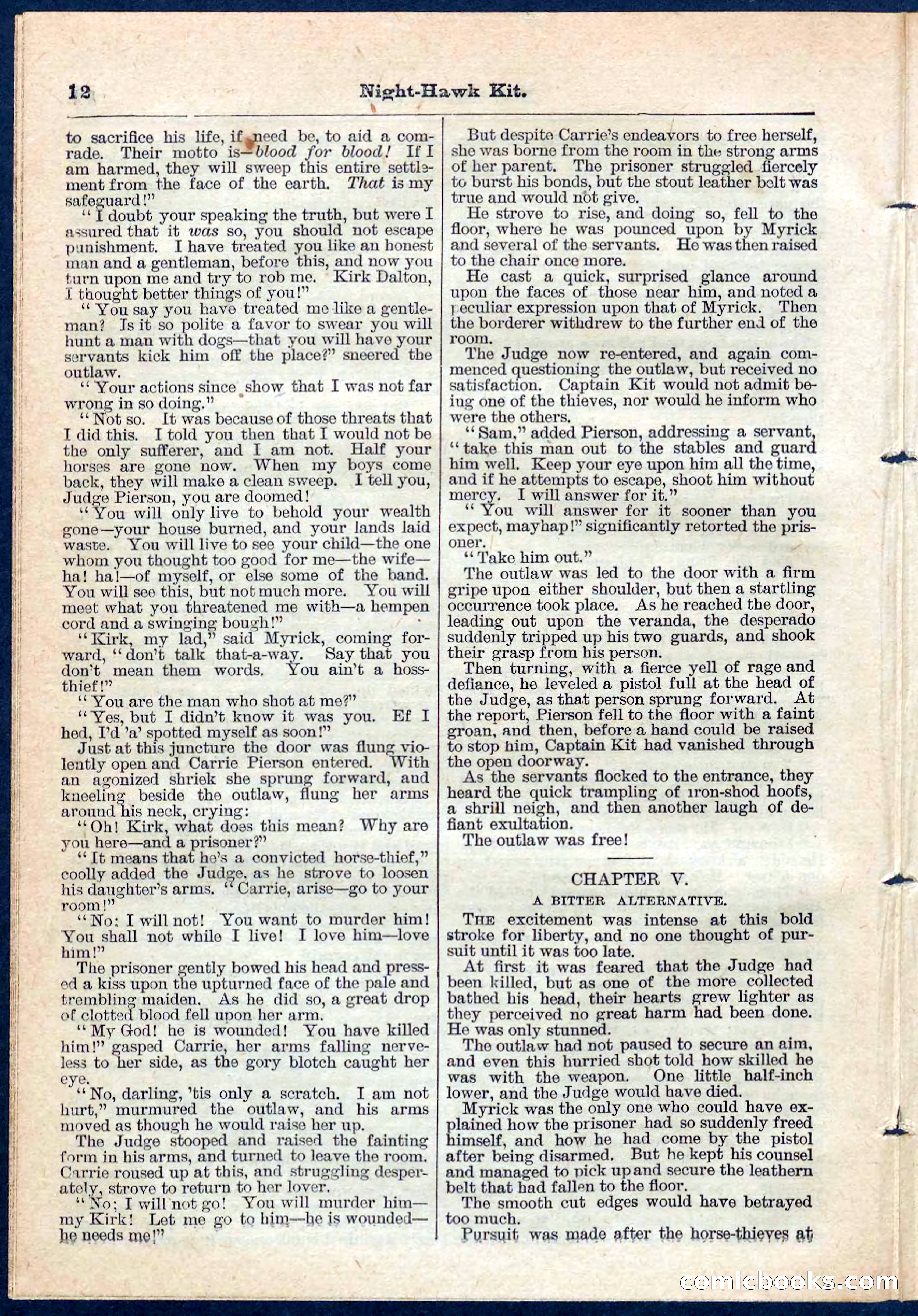 Beadle's Pocket Library No. 106 — page 12 of 32