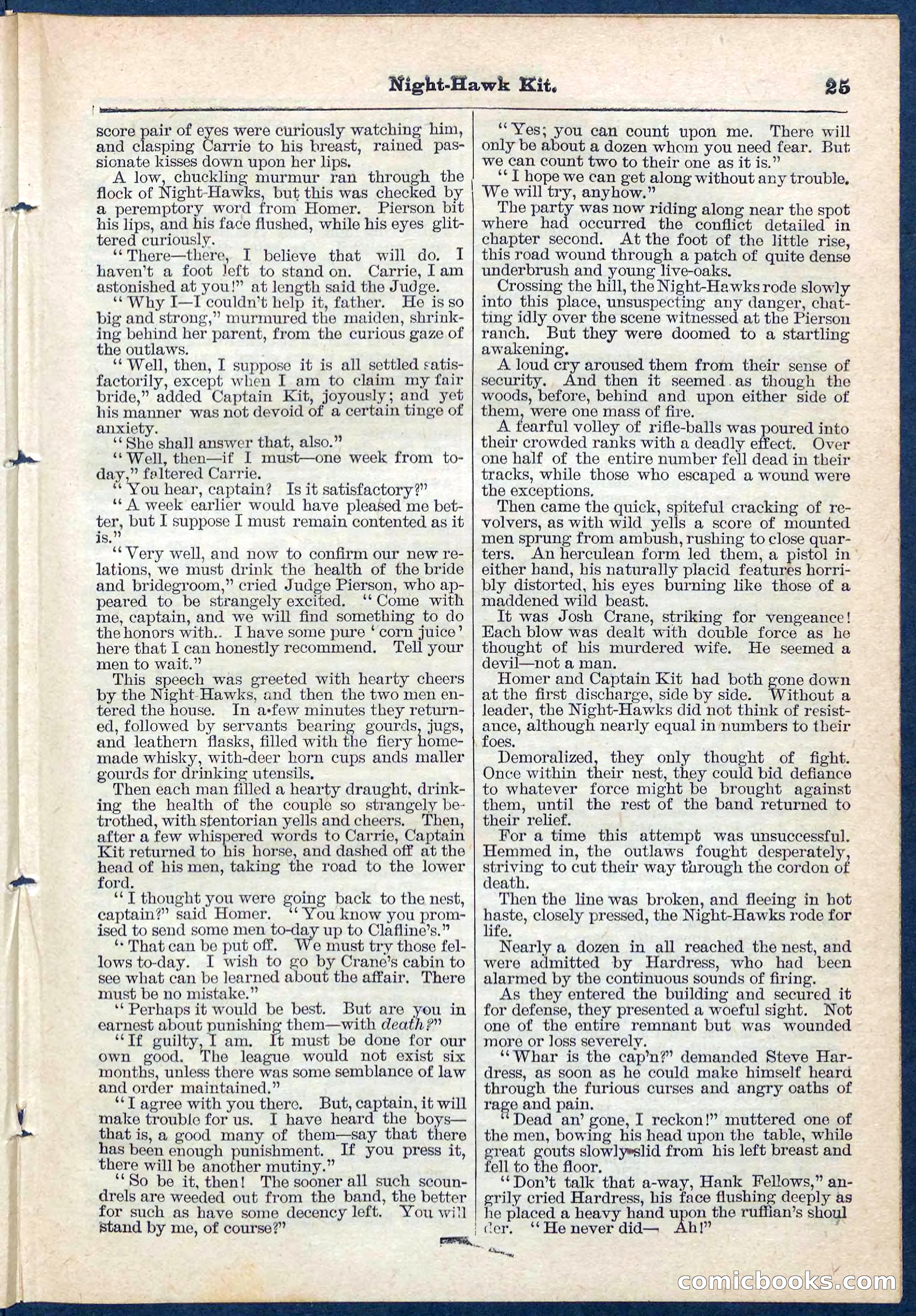 Beadle's Pocket Library No. 106 — page 25 of 32