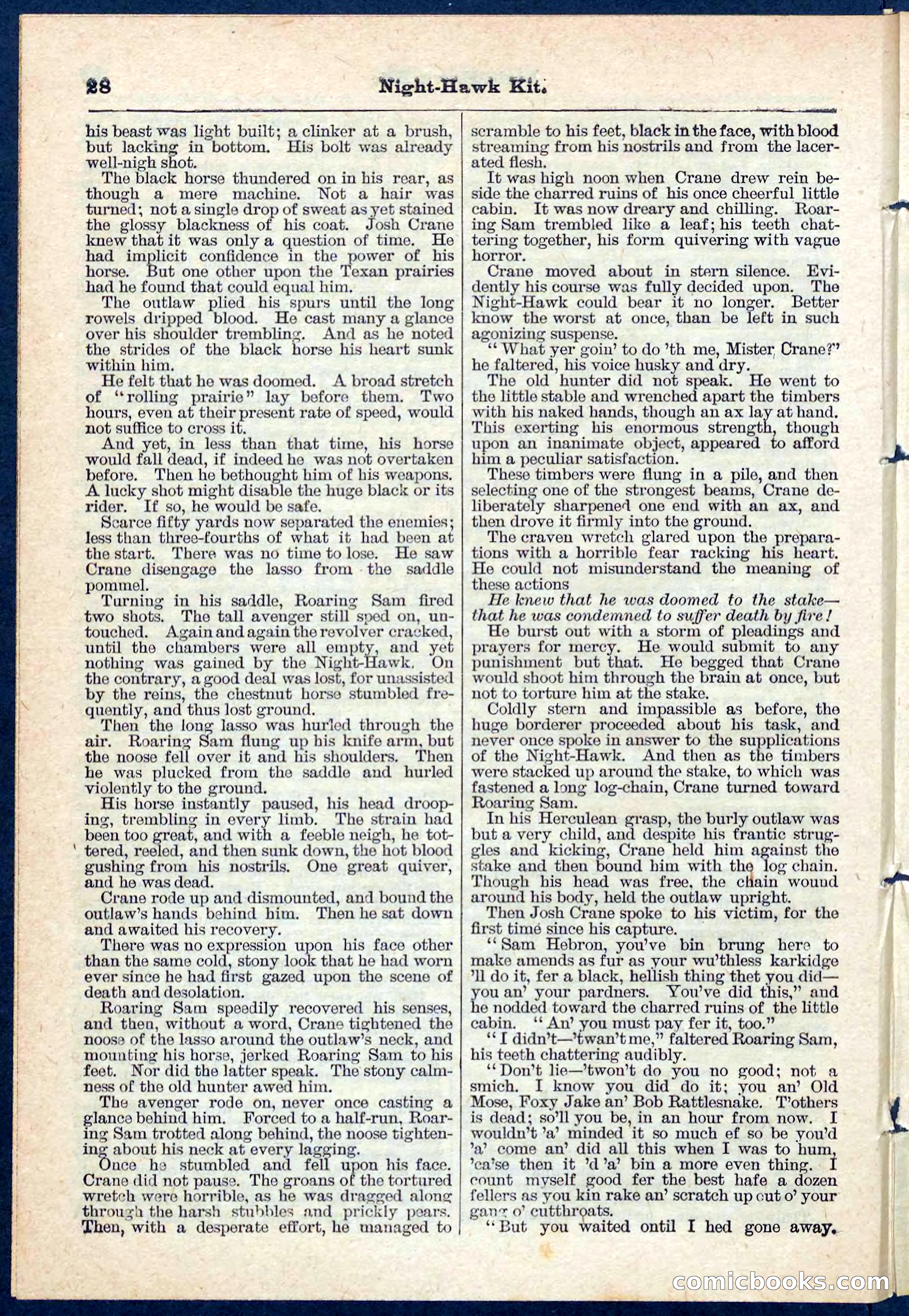 Beadle's Pocket Library No. 106 — page 28 of 32