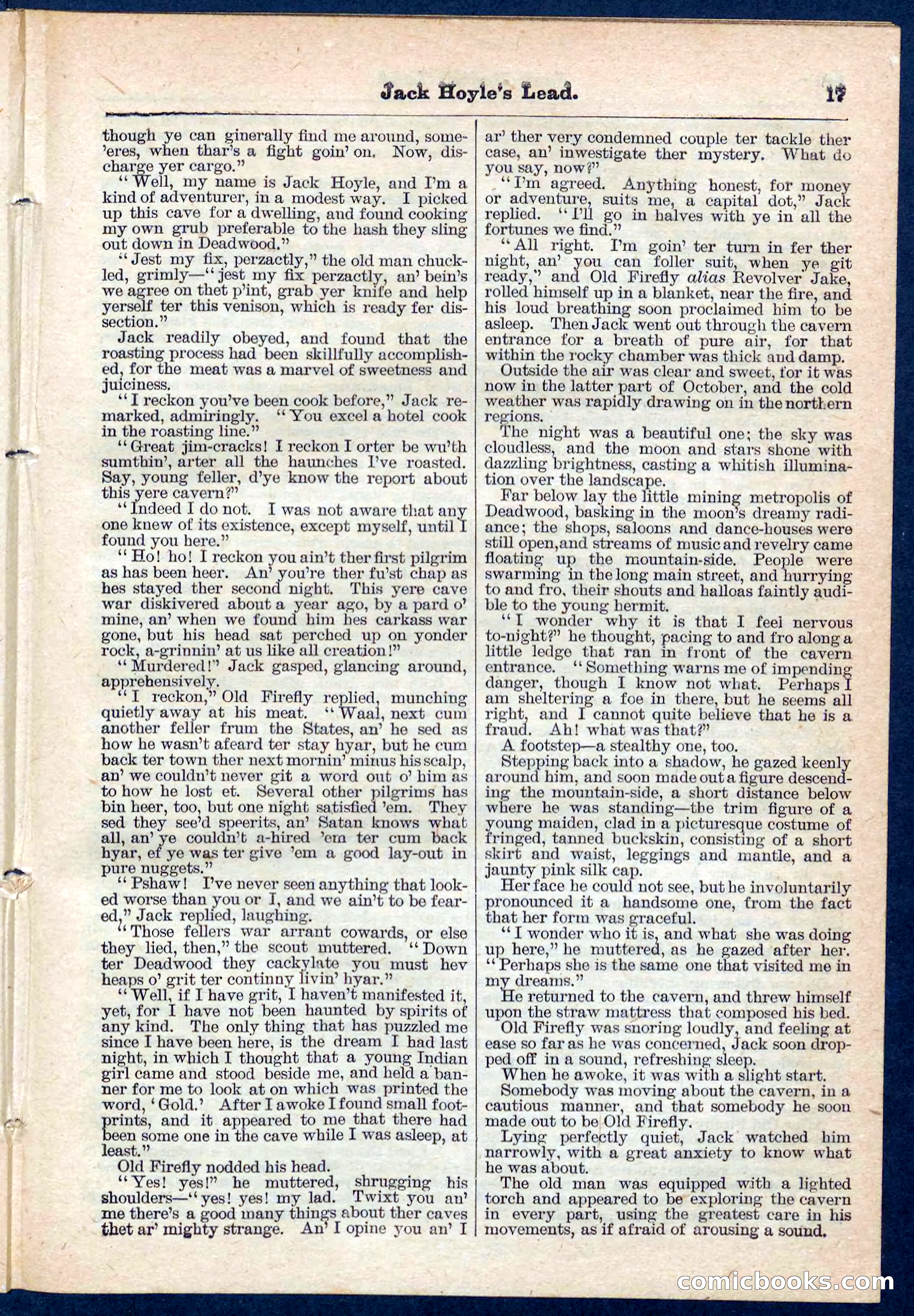Beadle's Pocket Library No. 107 — page 17 of 32