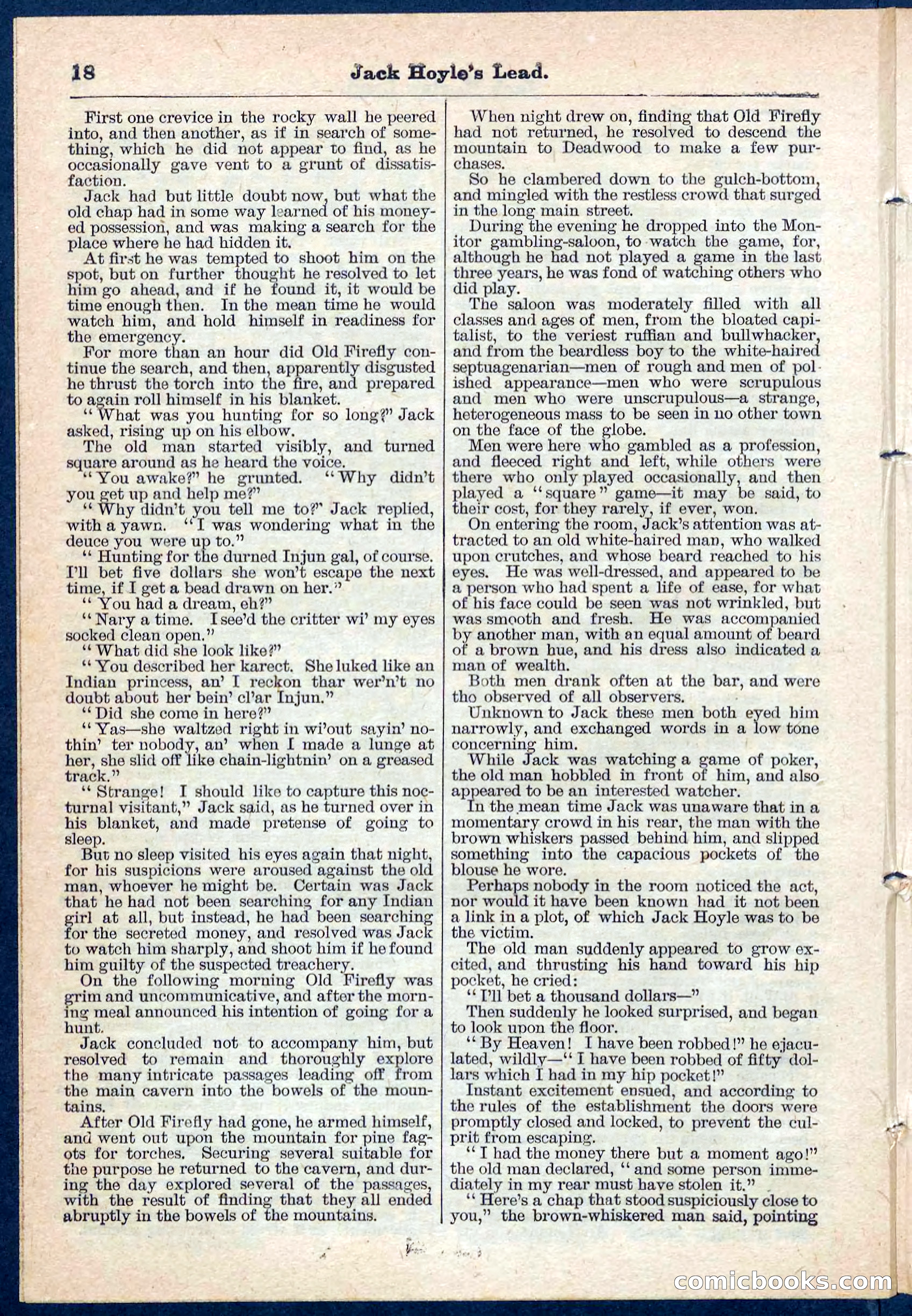 Beadle's Pocket Library No. 107 — page 18 of 32