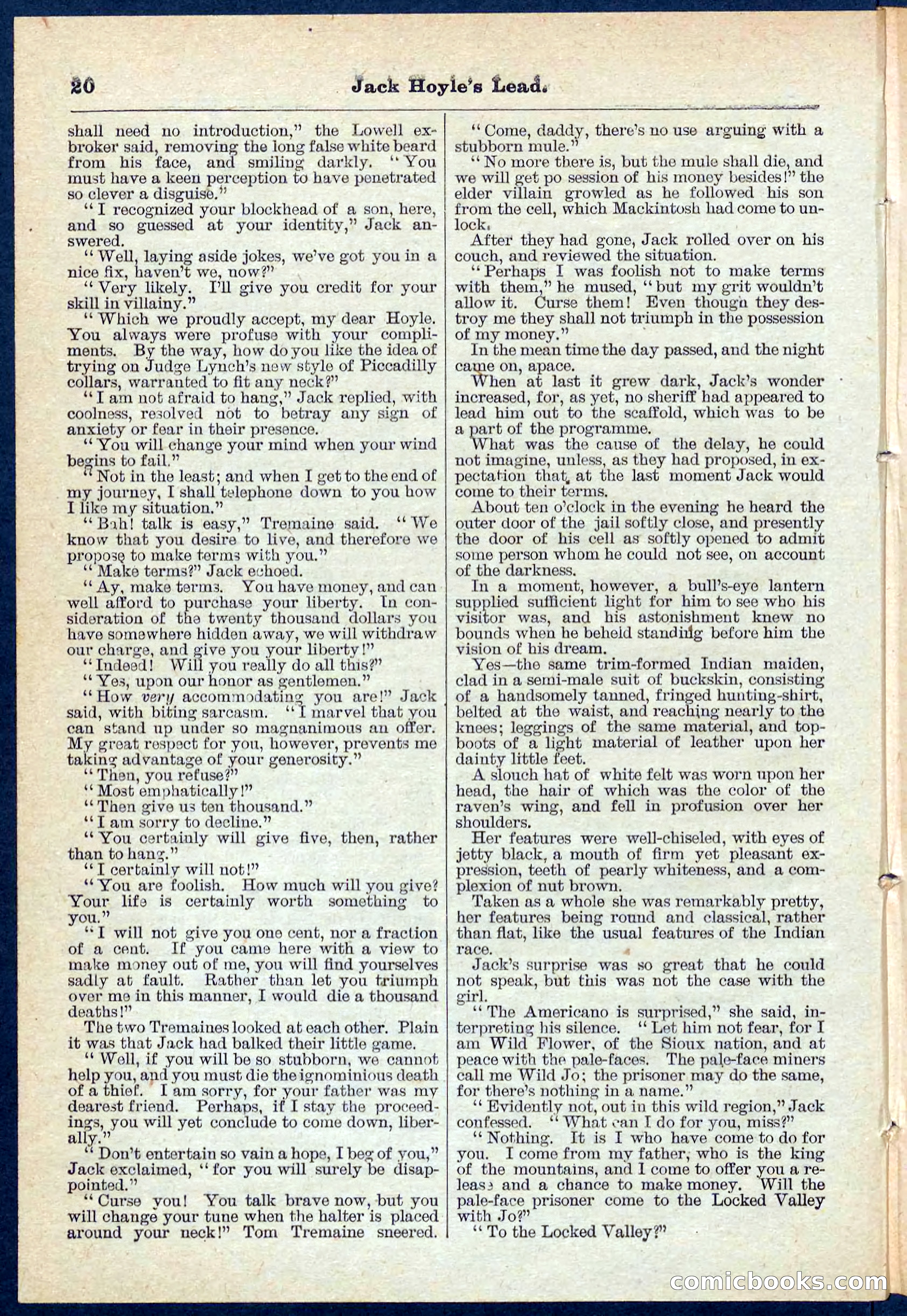 Beadle's Pocket Library No. 107 — page 20 of 32
