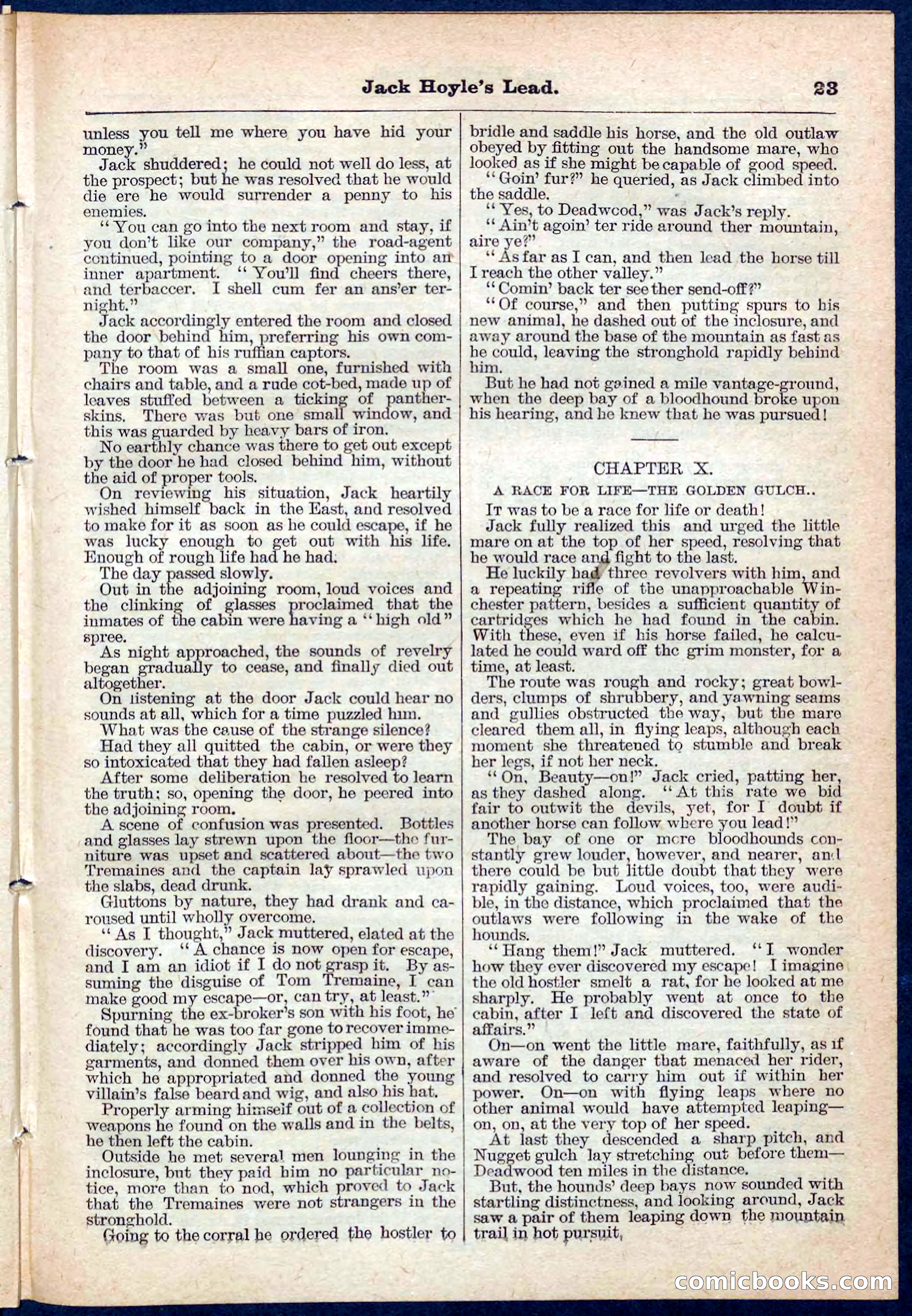 Beadle's Pocket Library No. 107 — page 23 of 32