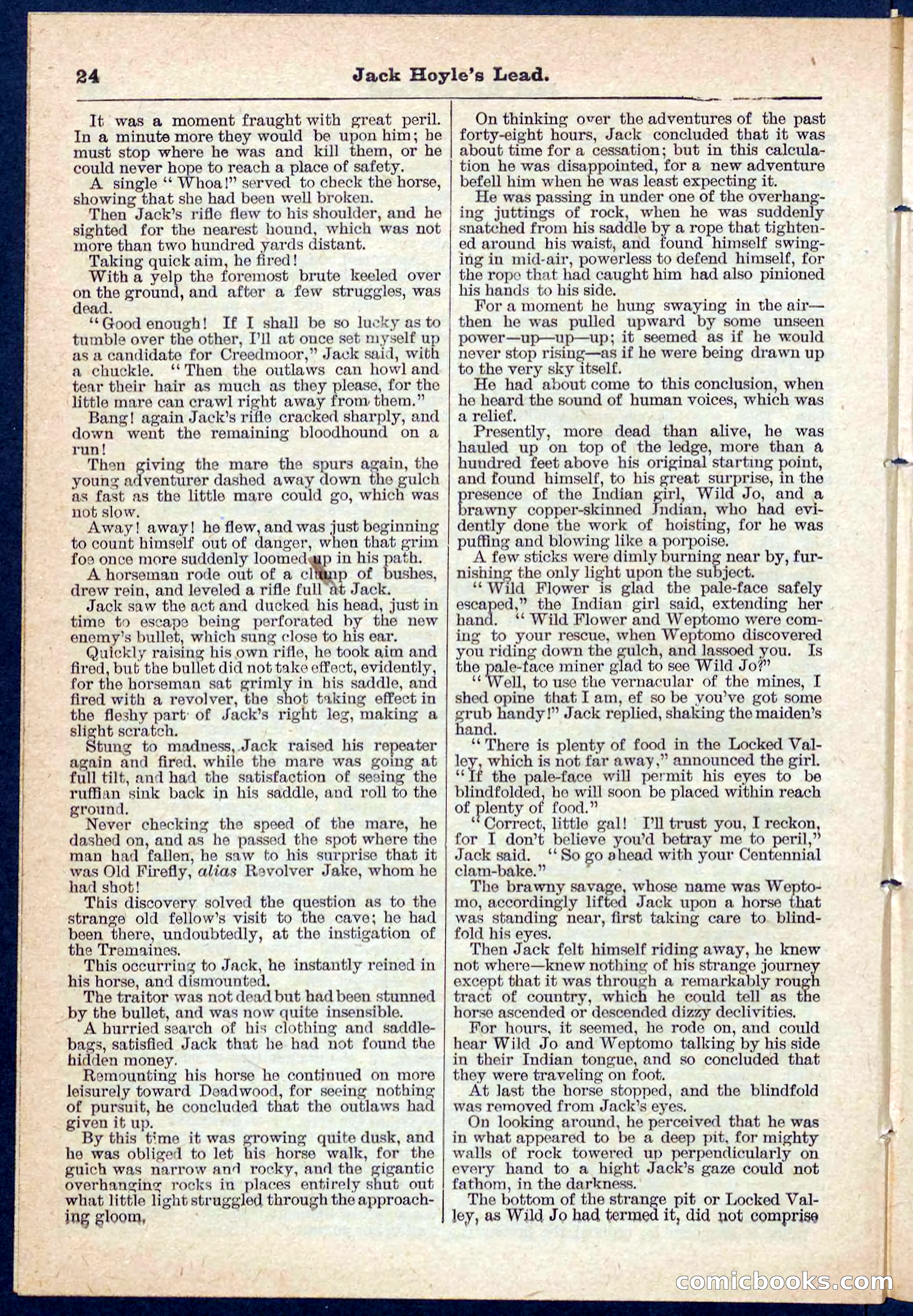 Beadle's Pocket Library No. 107 — page 24 of 32