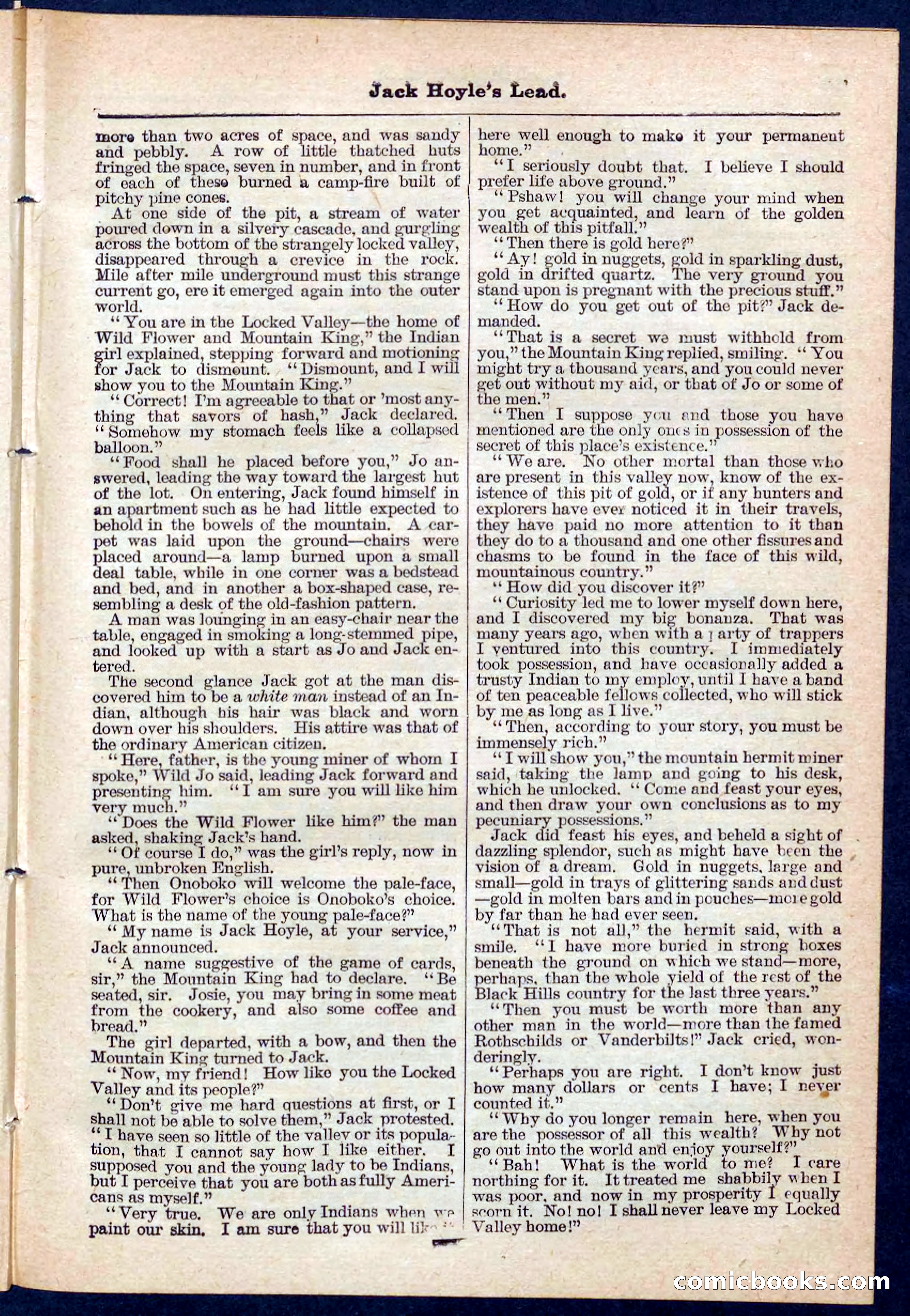 Beadle's Pocket Library No. 107 — page 25 of 32