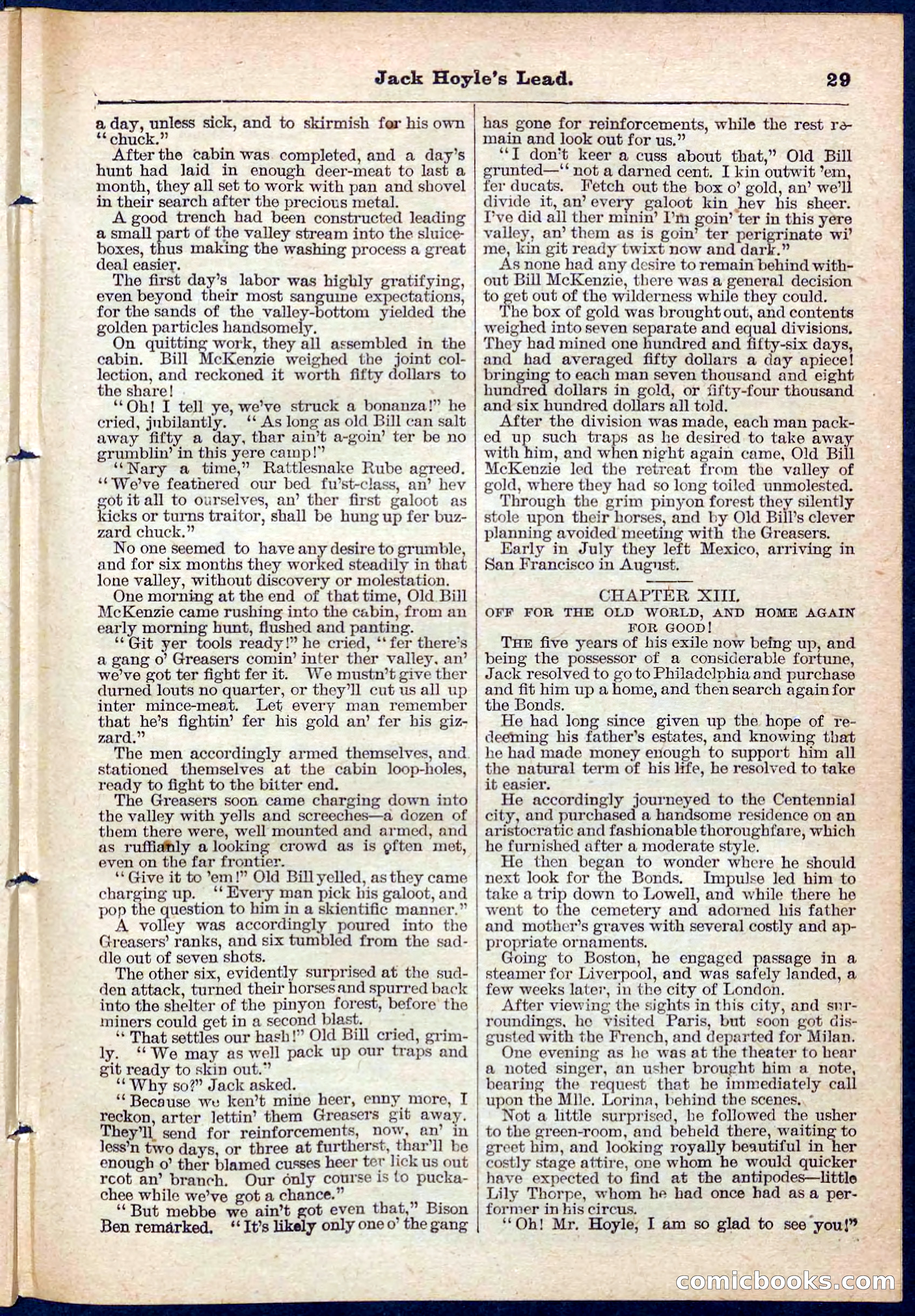 Beadle's Pocket Library No. 107 — page 29 of 32