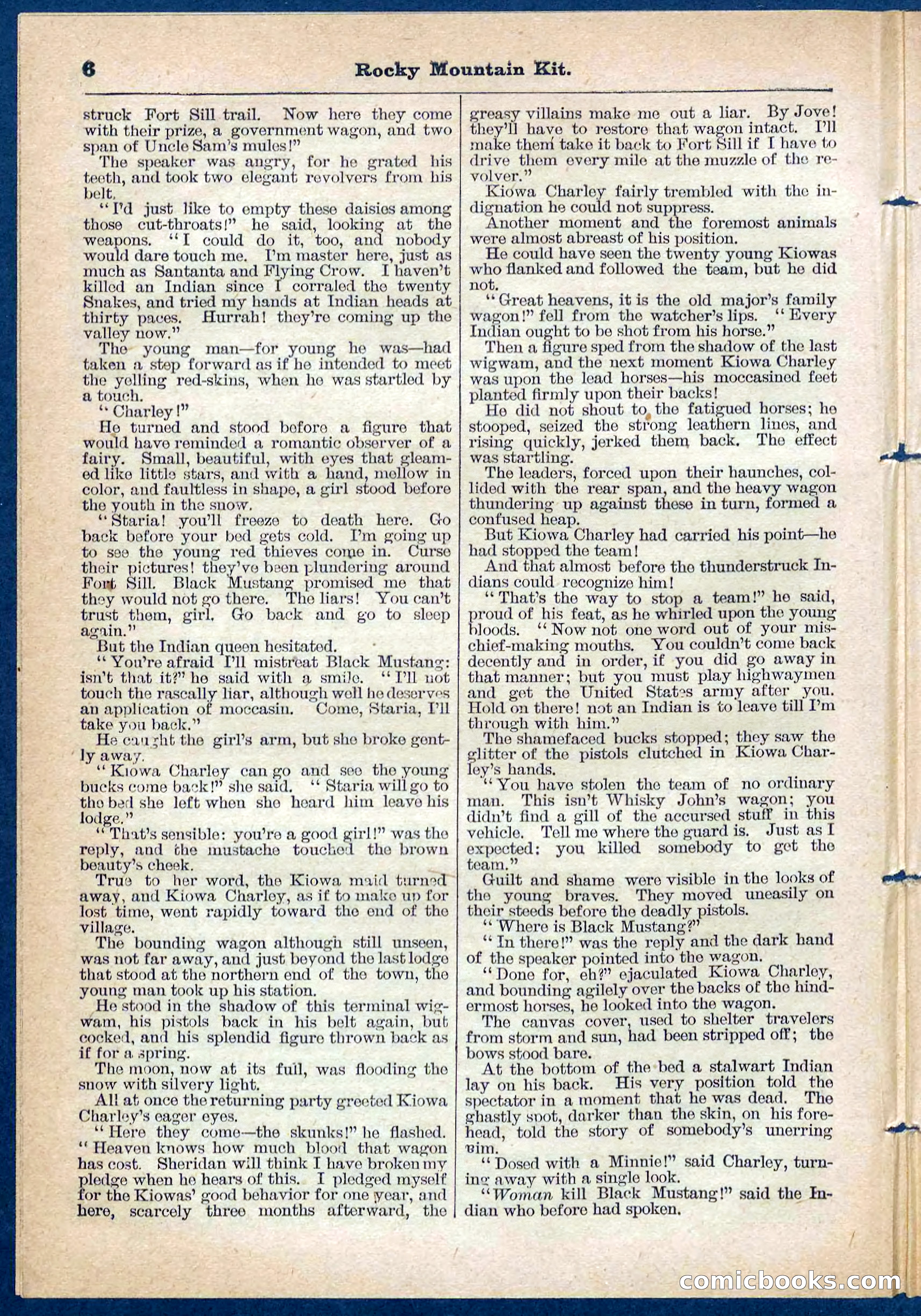 Beadle's Pocket Library No. 108 — page 6 of 32