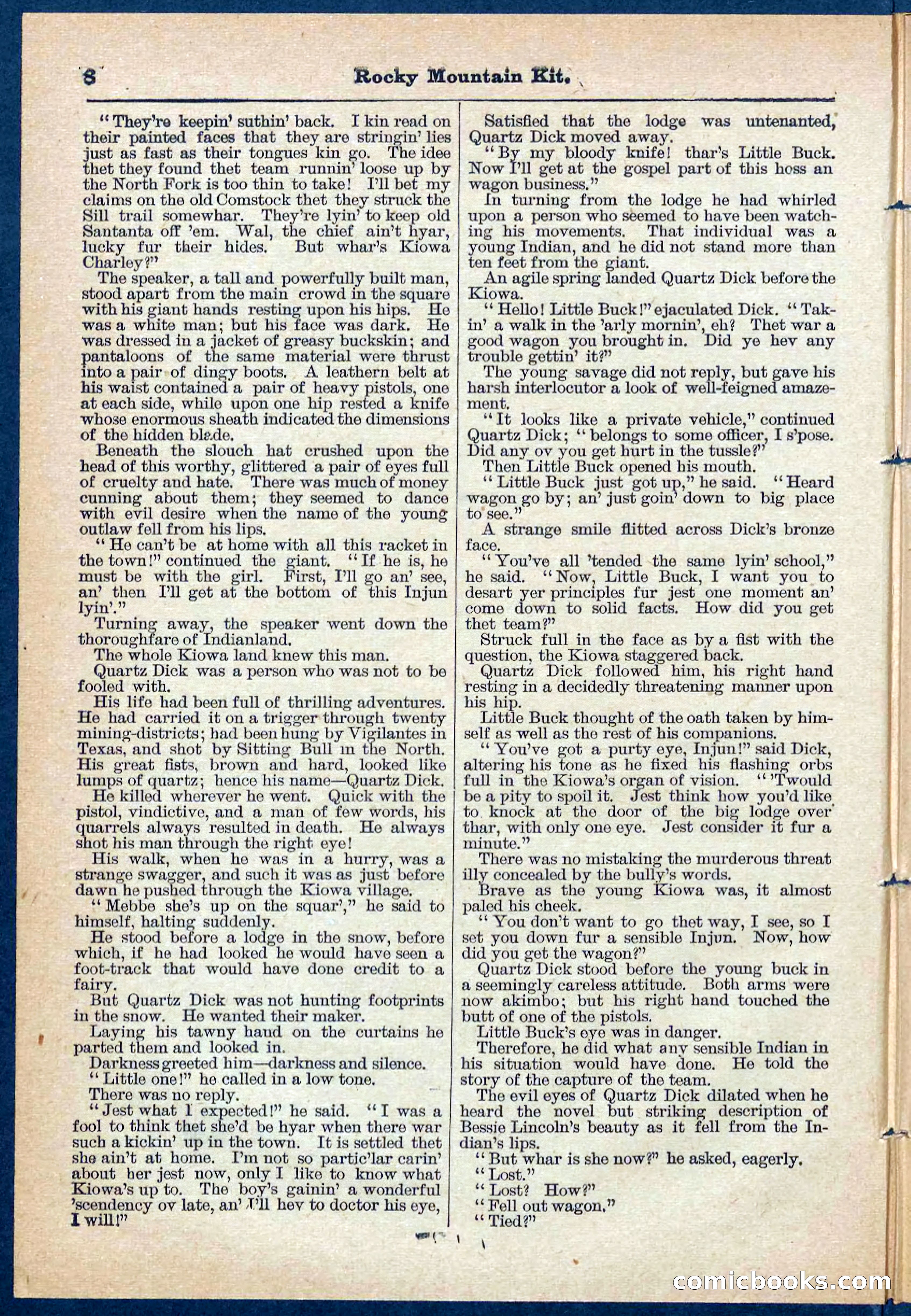 Beadle's Pocket Library No. 108 — page 8 of 32