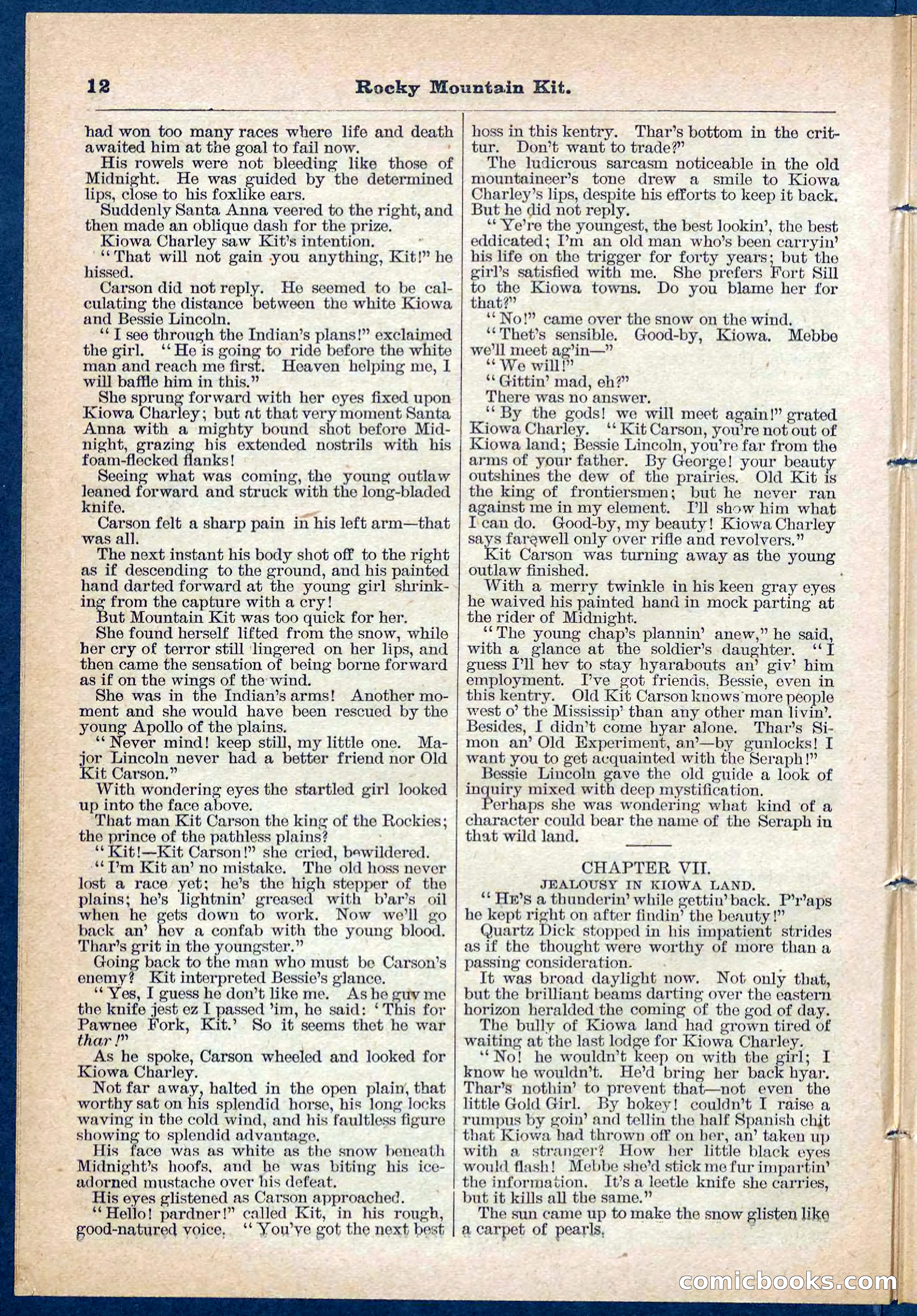 Beadle's Pocket Library No. 108 — page 12 of 32