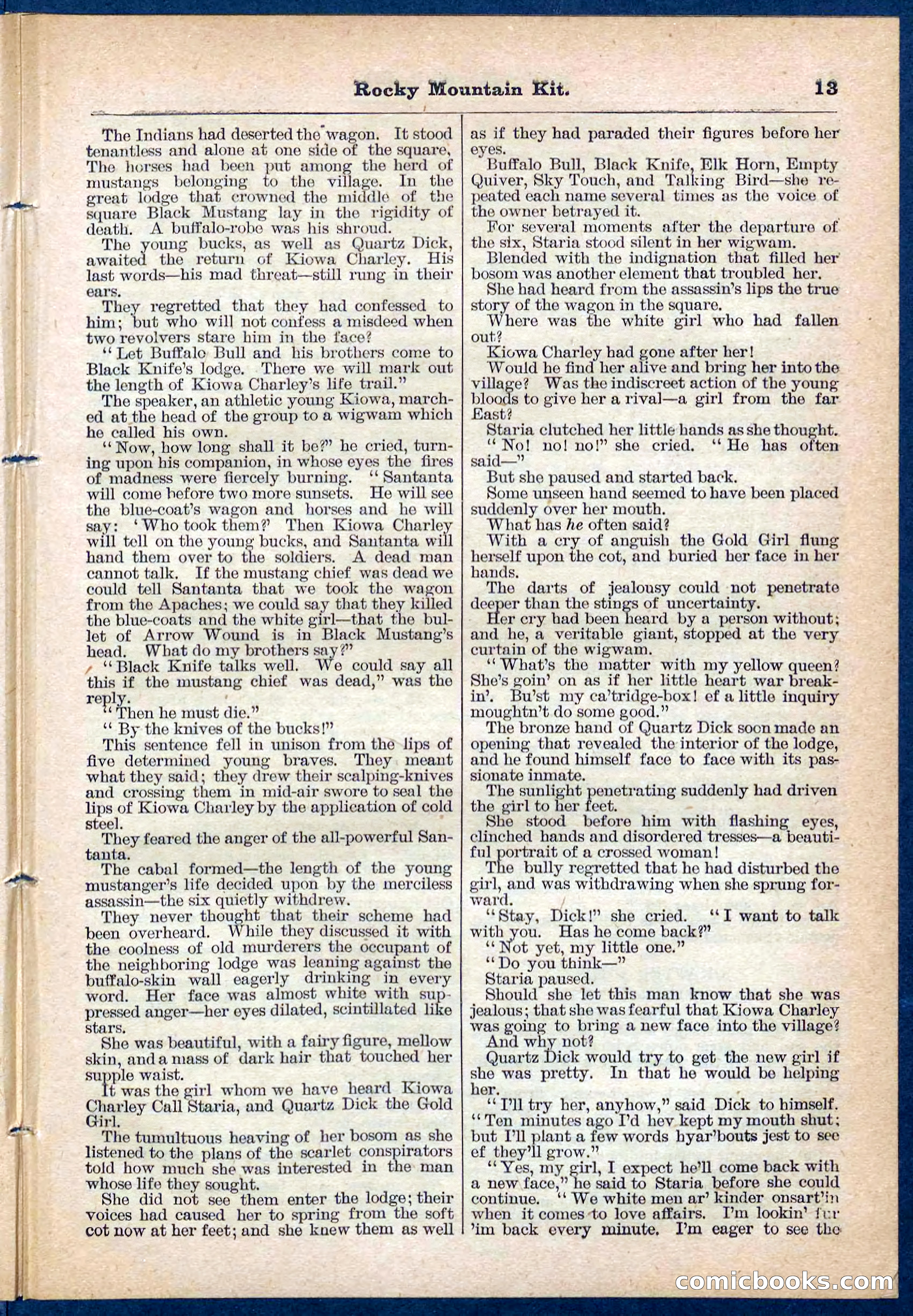 Beadle's Pocket Library No. 108 — page 13 of 32