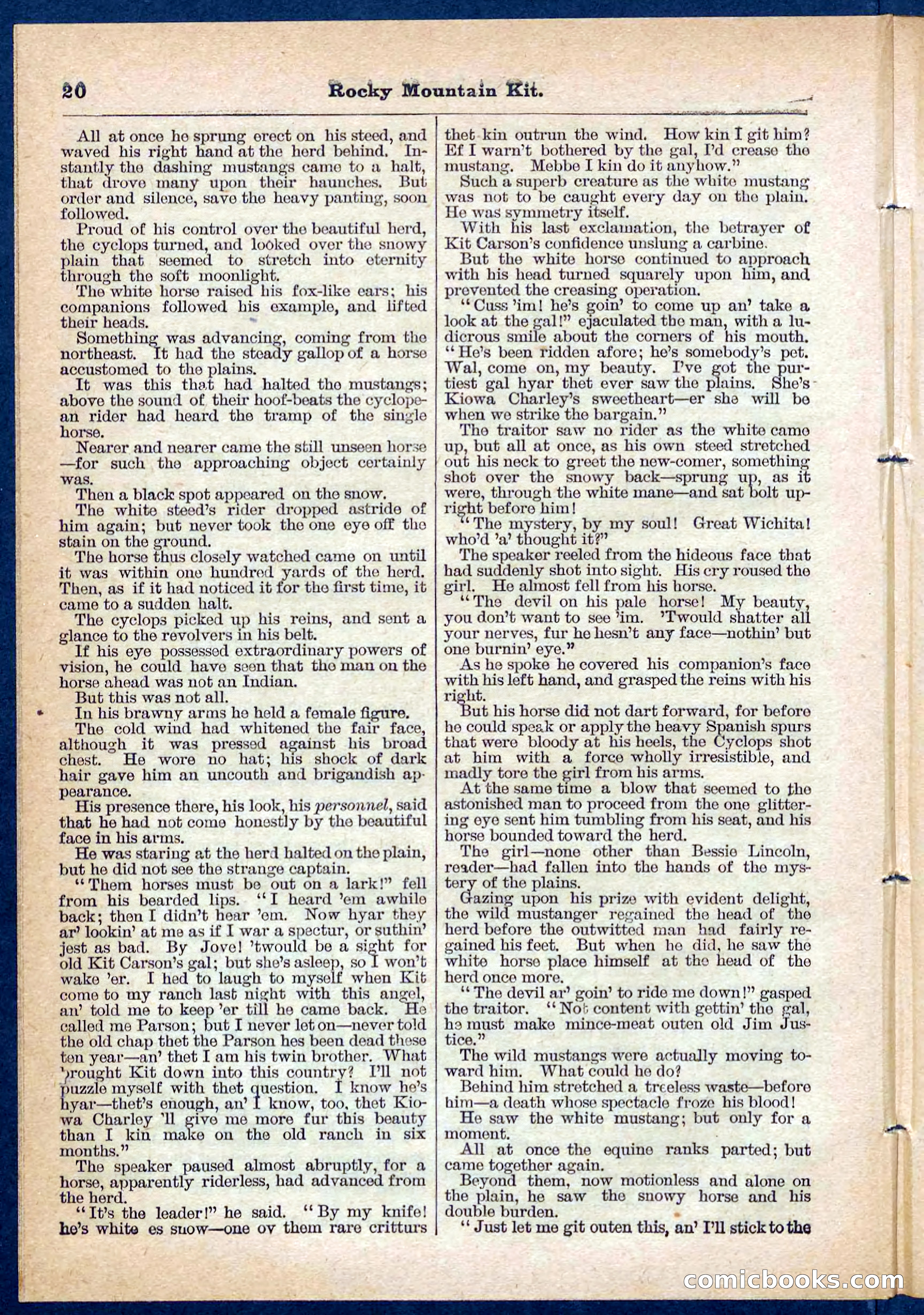 Beadle's Pocket Library No. 108 — page 20 of 32