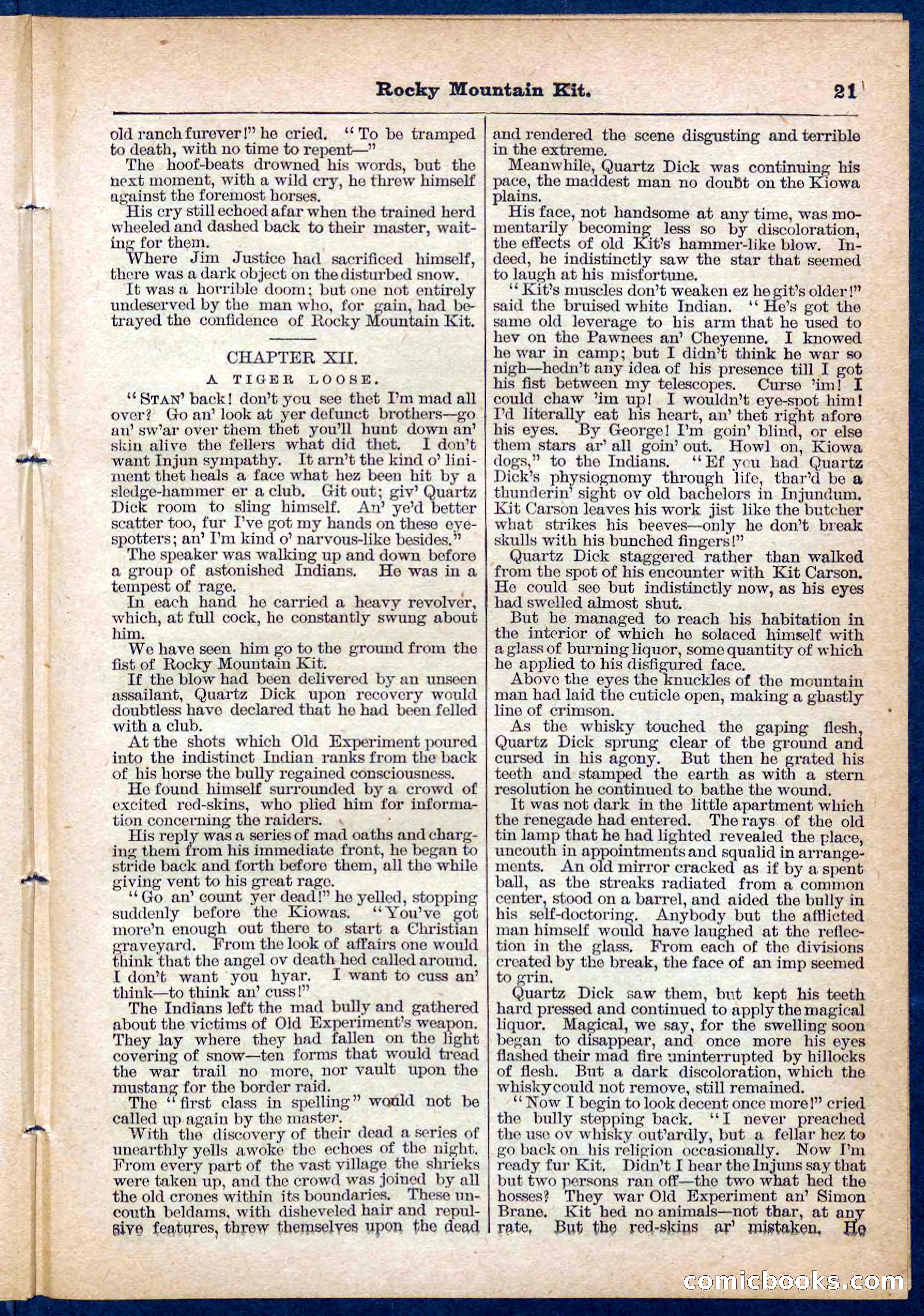 Beadle's Pocket Library No. 108 — page 21 of 32