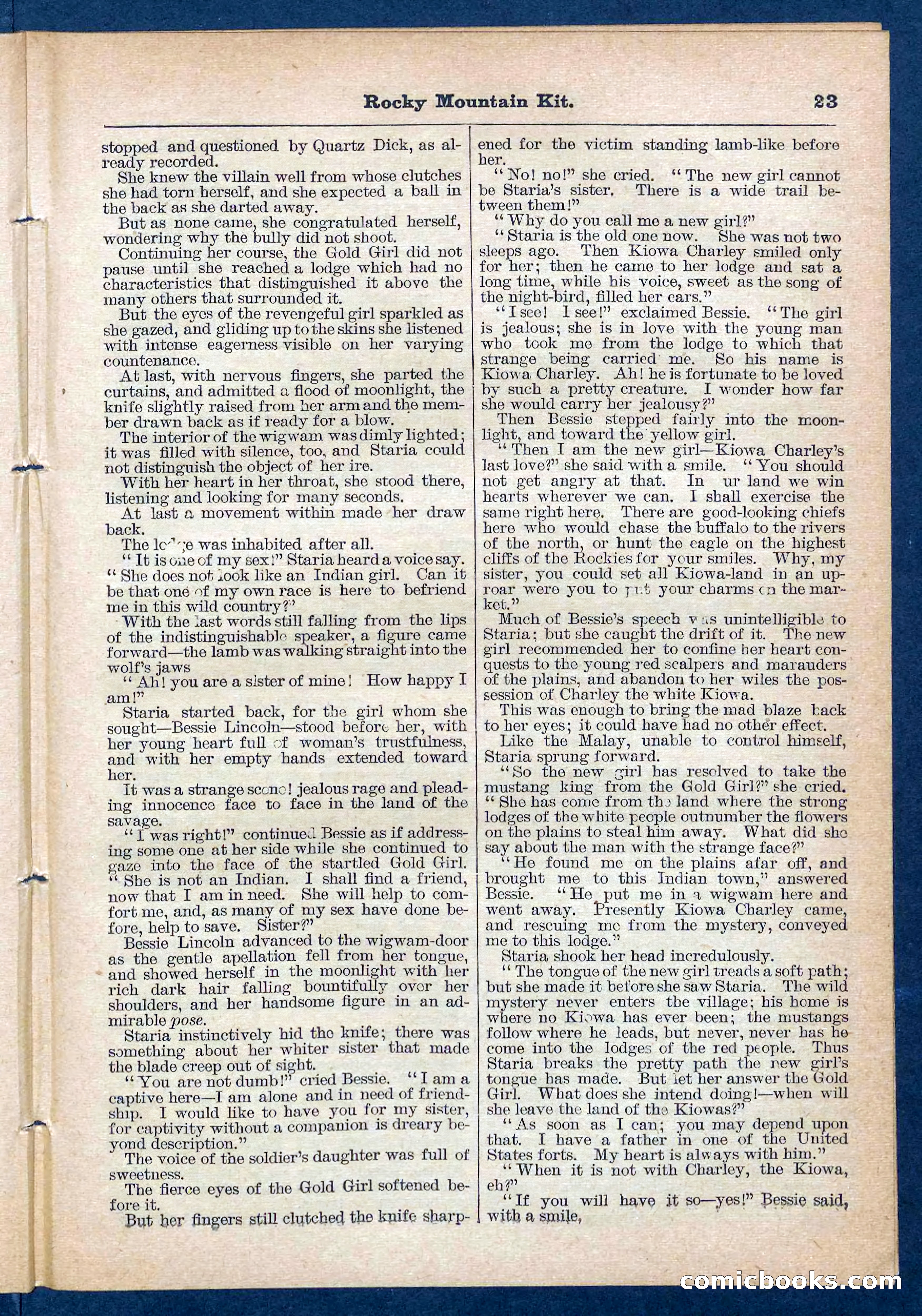 Beadle's Pocket Library No. 108 — page 23 of 32