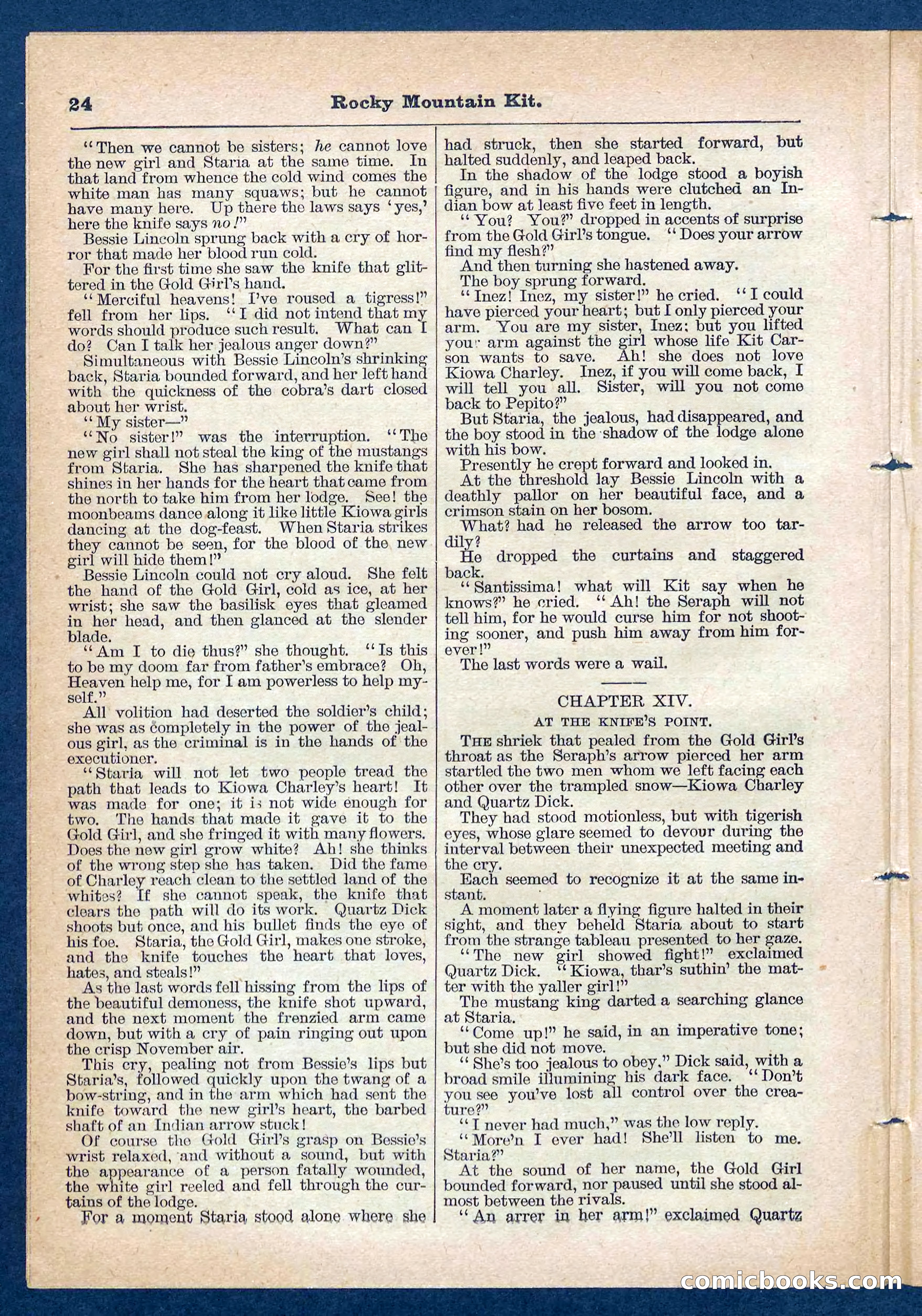 Beadle's Pocket Library No. 108 — page 24 of 32