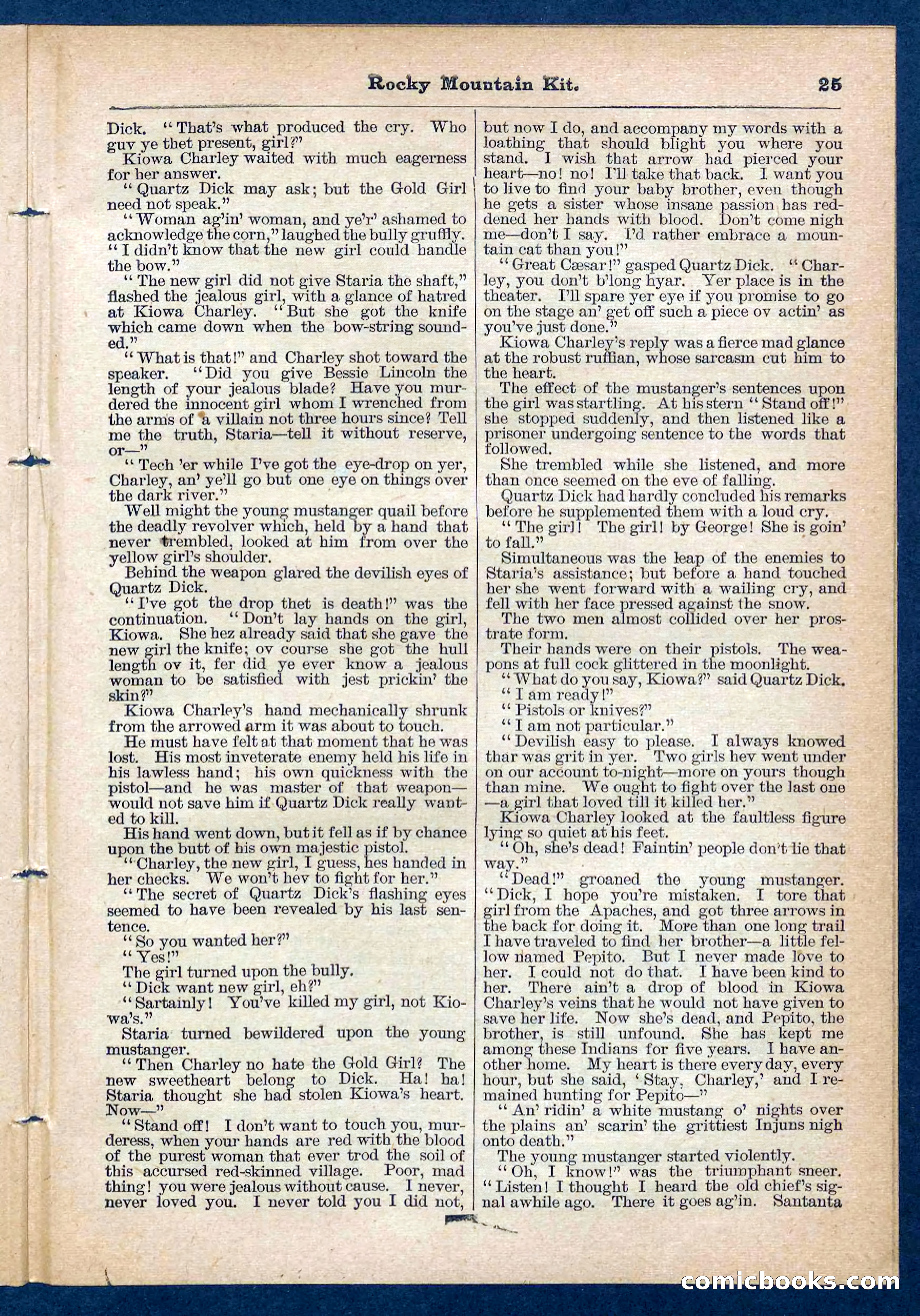 Beadle's Pocket Library No. 108 — page 25 of 32