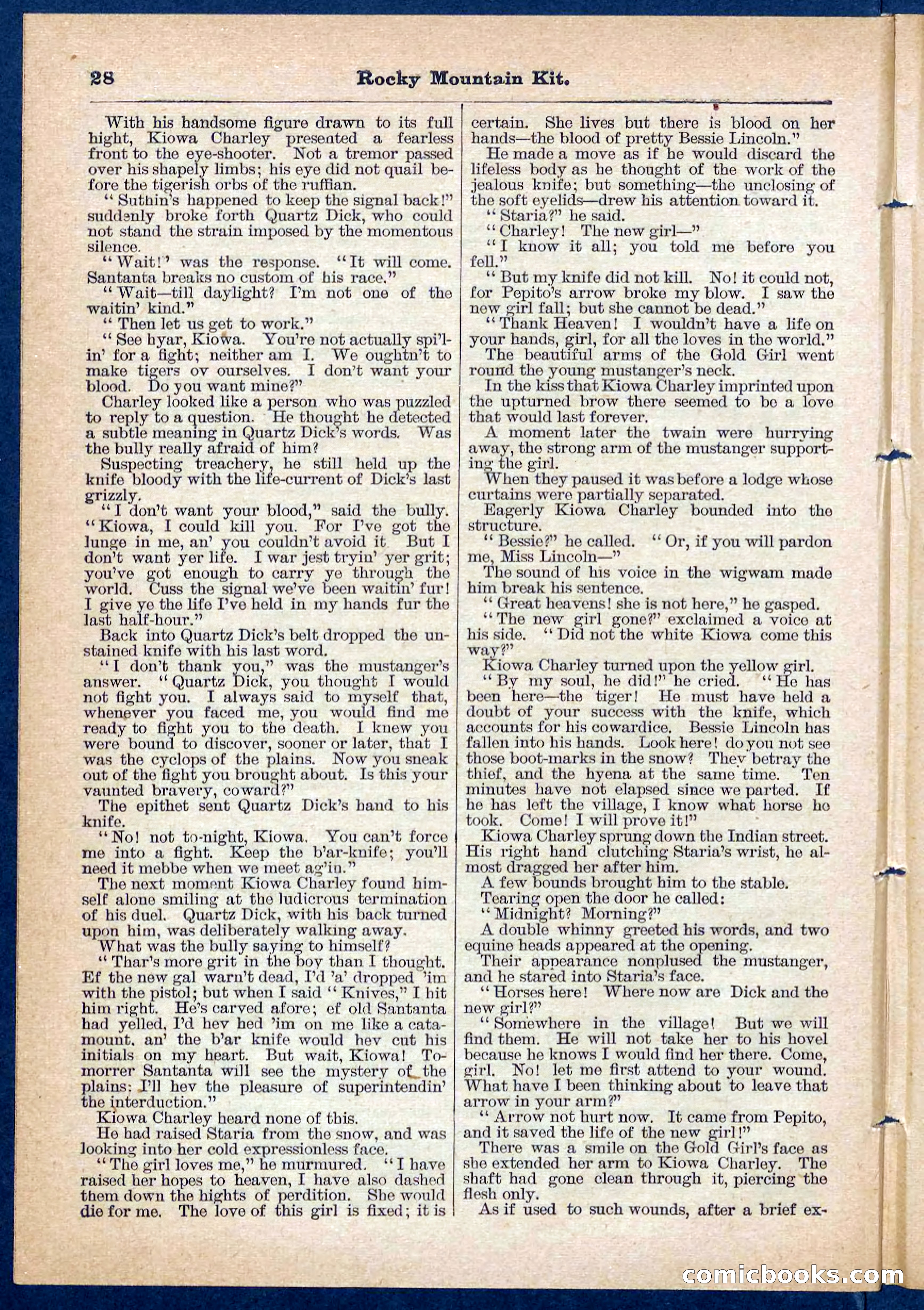 Beadle's Pocket Library No. 108 — page 28 of 32