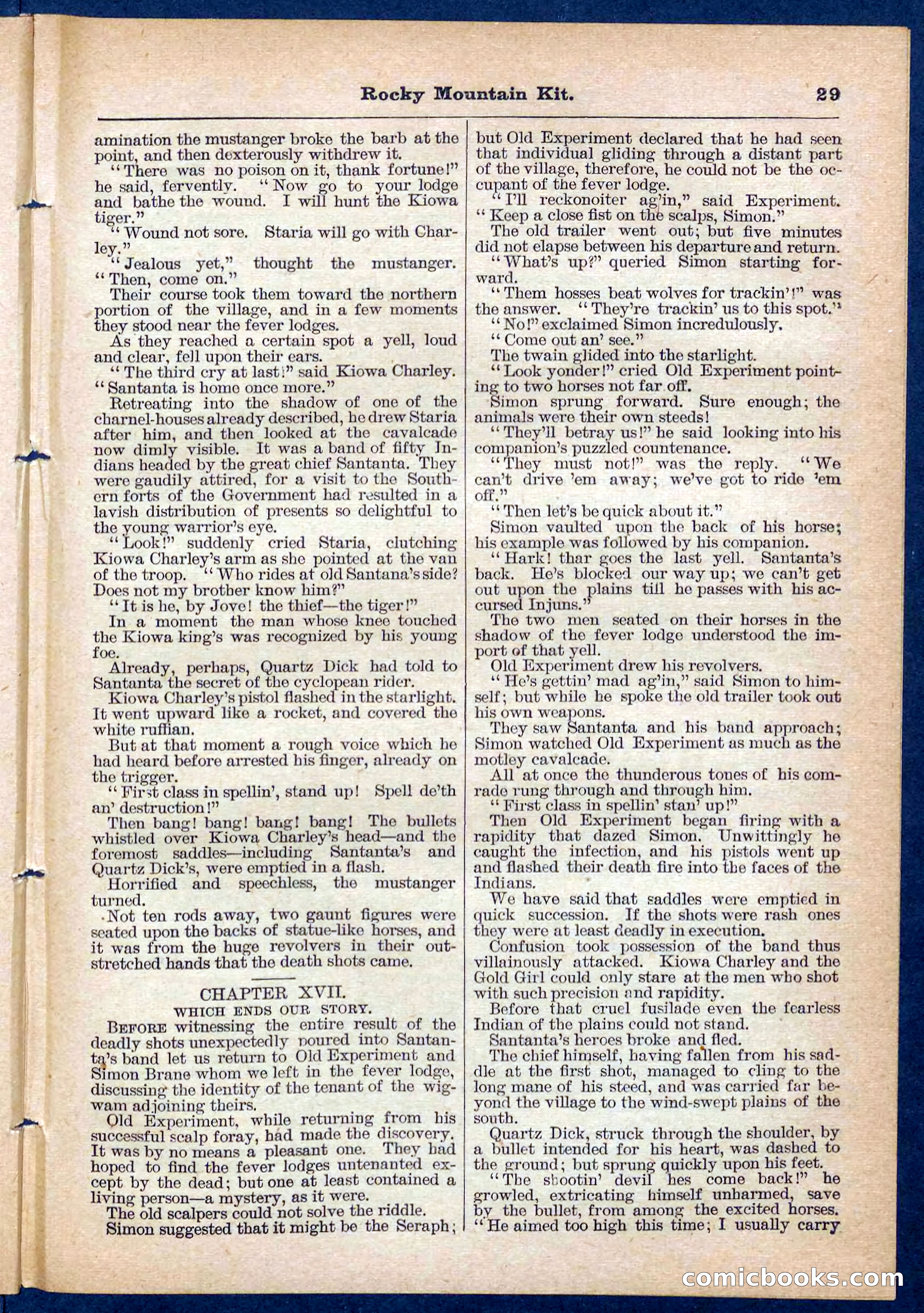 Beadle's Pocket Library No. 108 — page 29 of 32