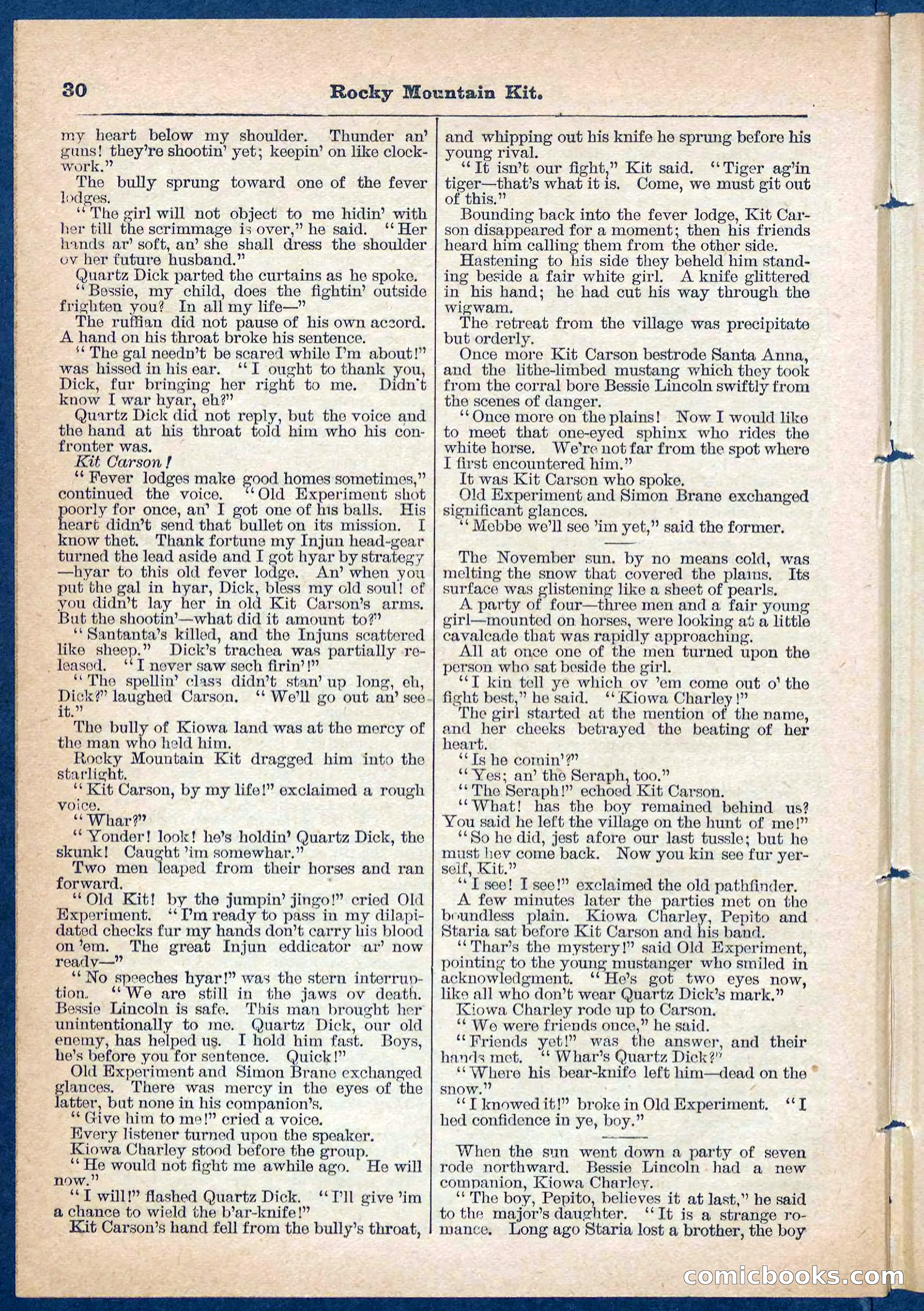 Beadle's Pocket Library No. 108 — page 30 of 32