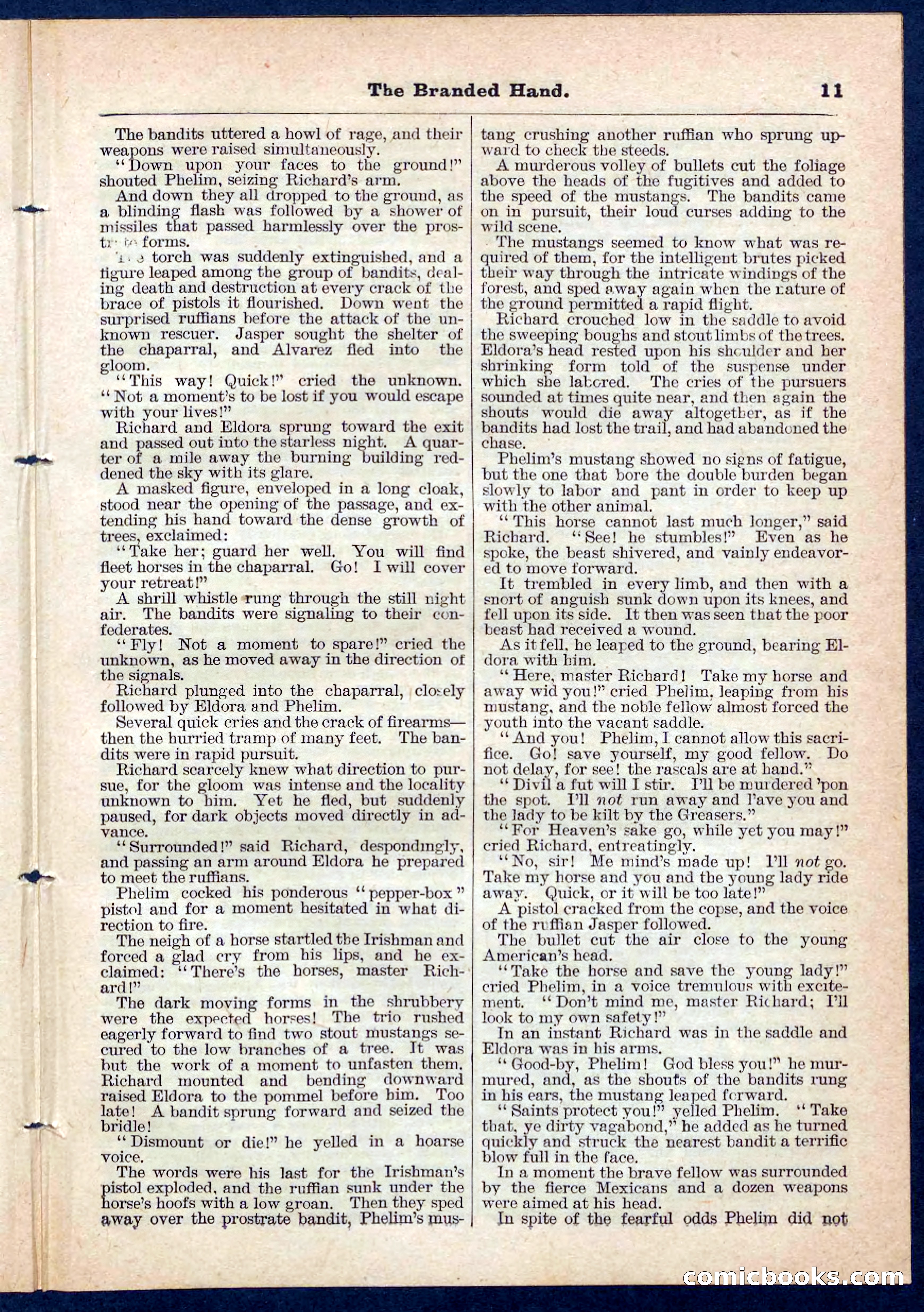 Beadle's Pocket Library No. 109 — page 10 of 32