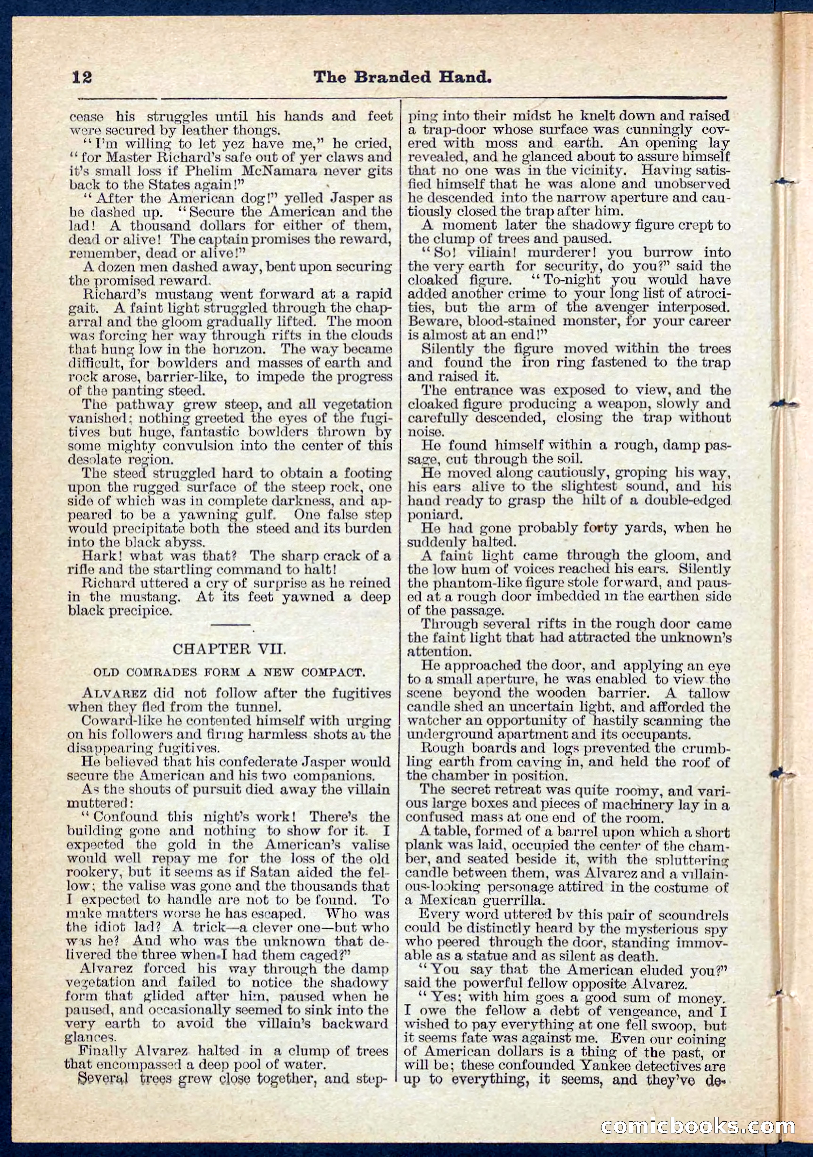 Beadle's Pocket Library No. 109 — page 12 of 32