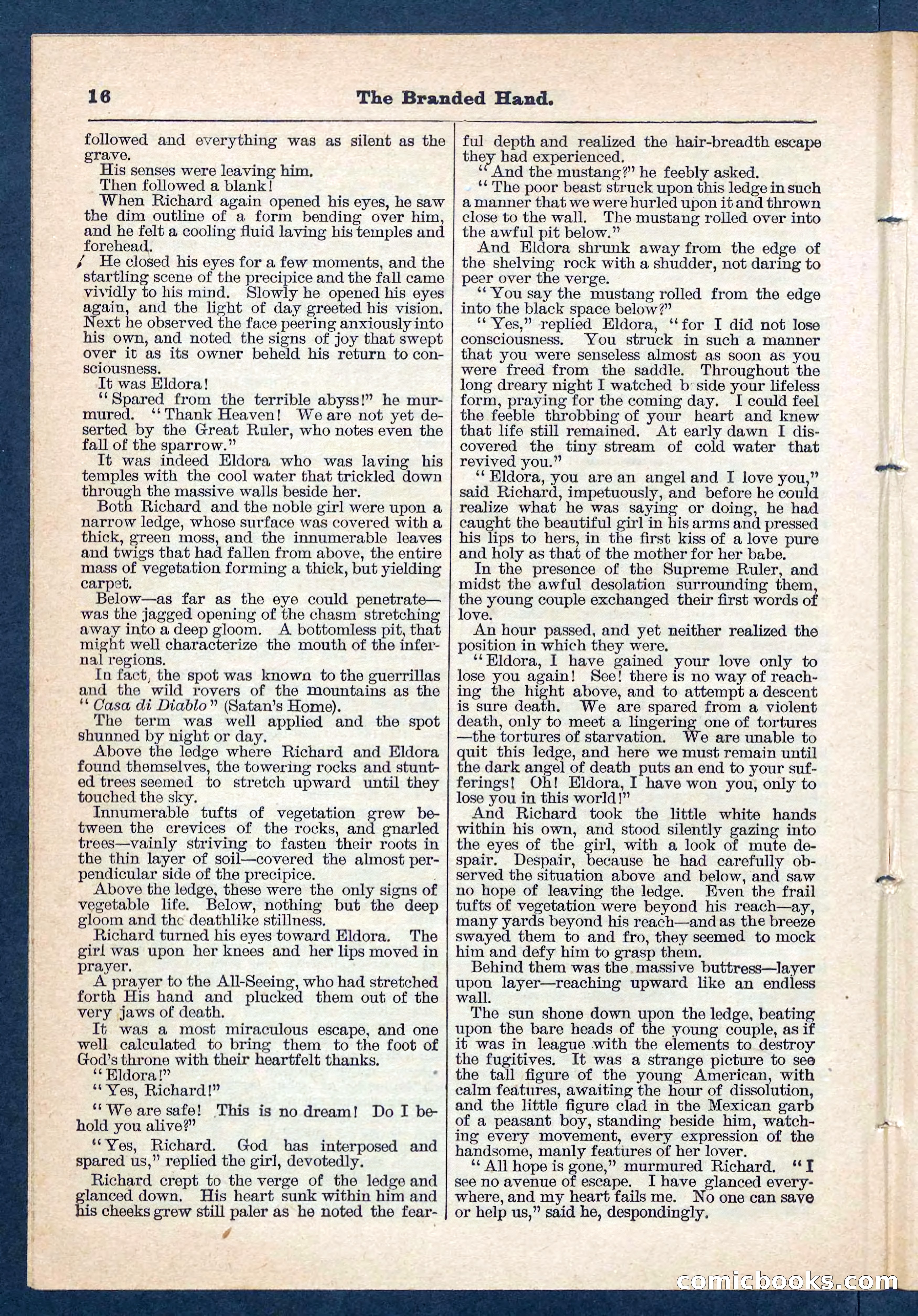 Beadle's Pocket Library No. 109 — page 16 of 32