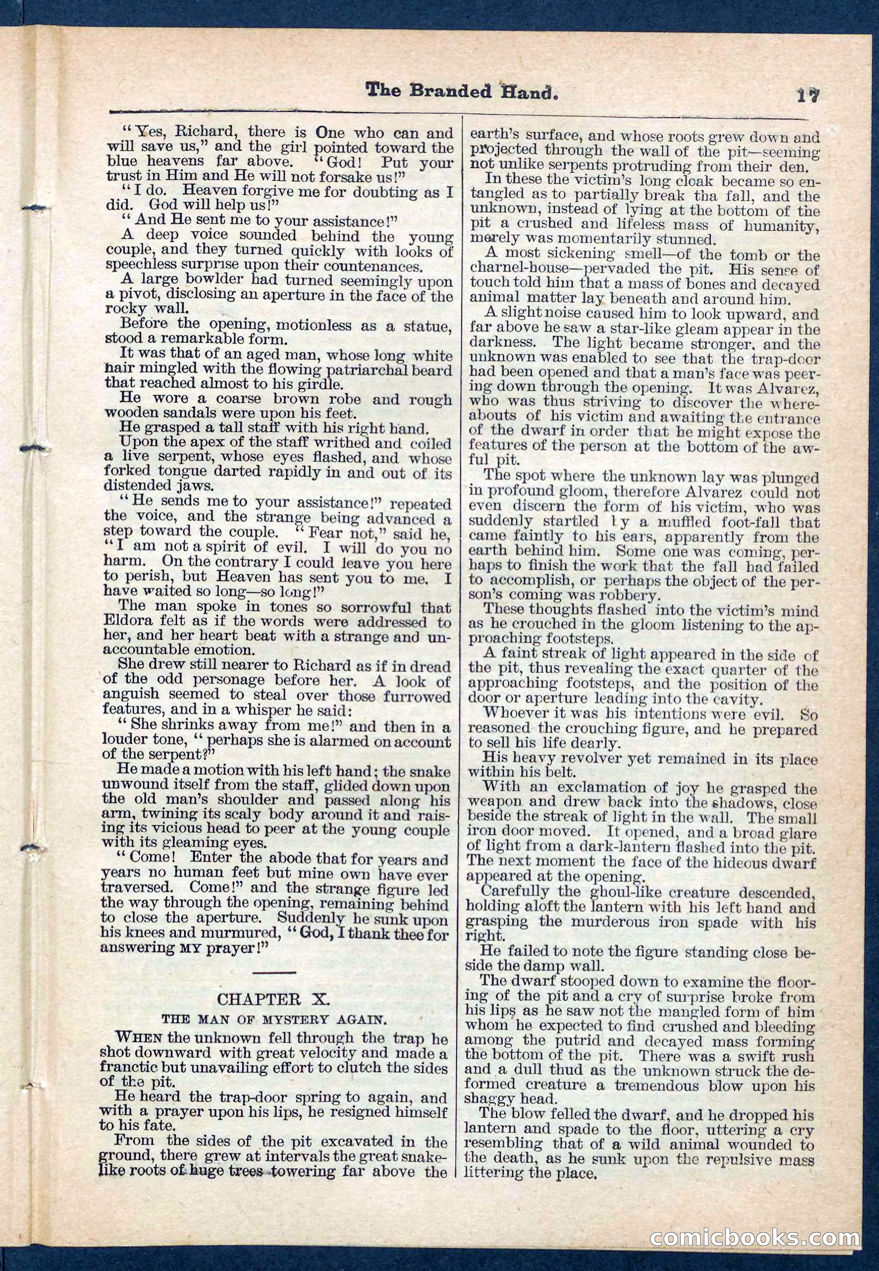 Beadle's Pocket Library No. 109 — page 17 of 32