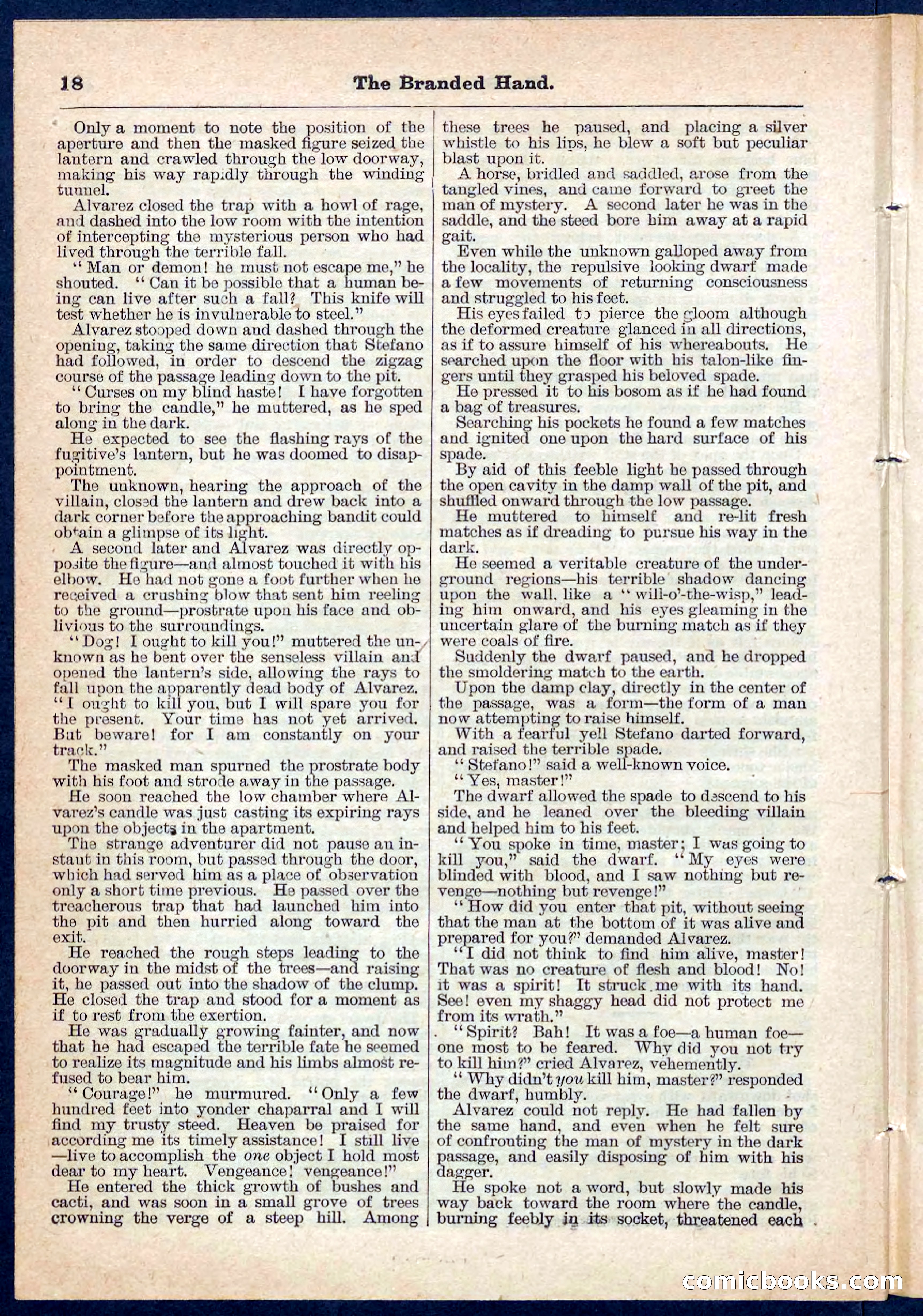 Beadle's Pocket Library No. 109 — page 18 of 32