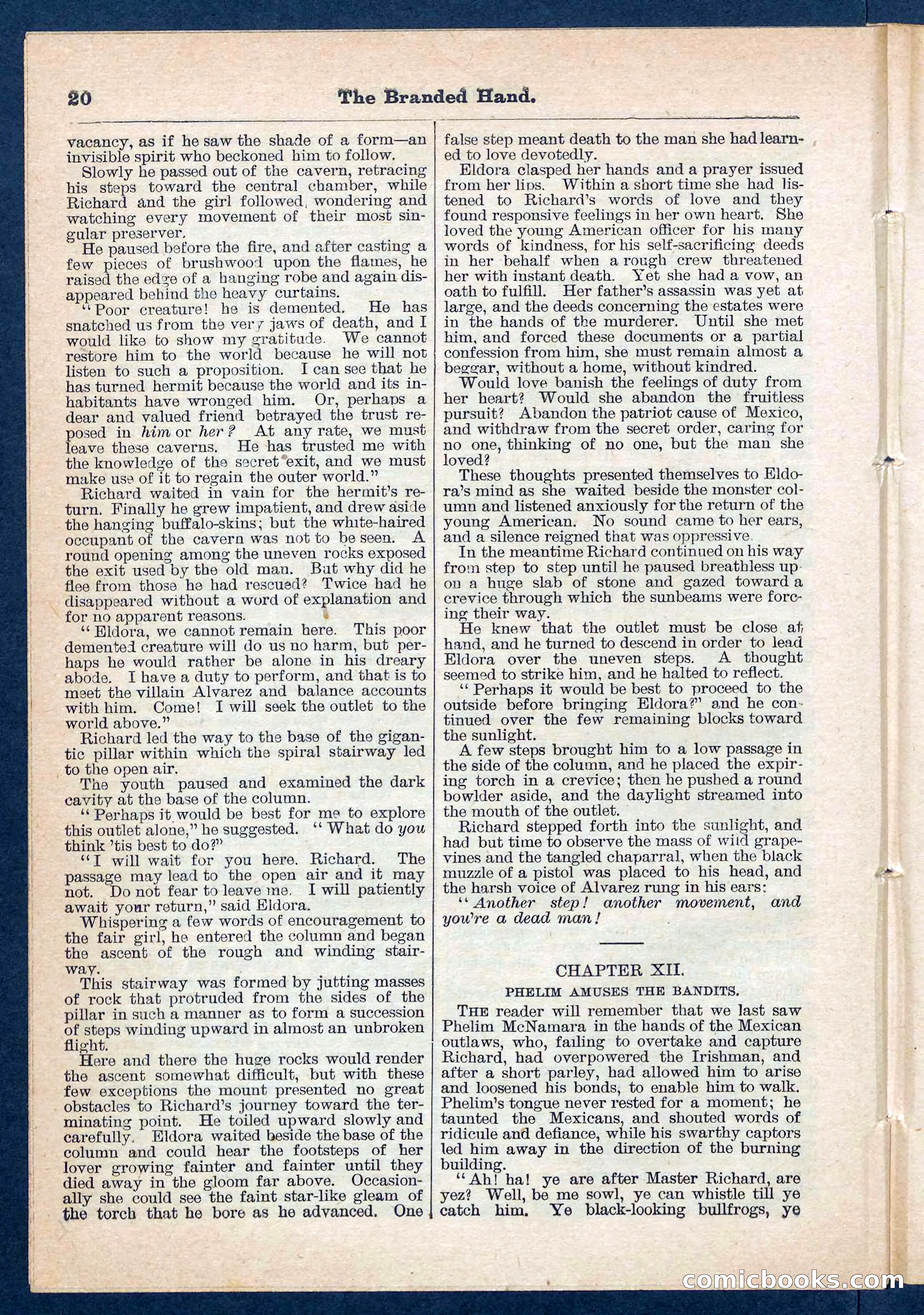 Beadle's Pocket Library No. 109 — page 21 of 32