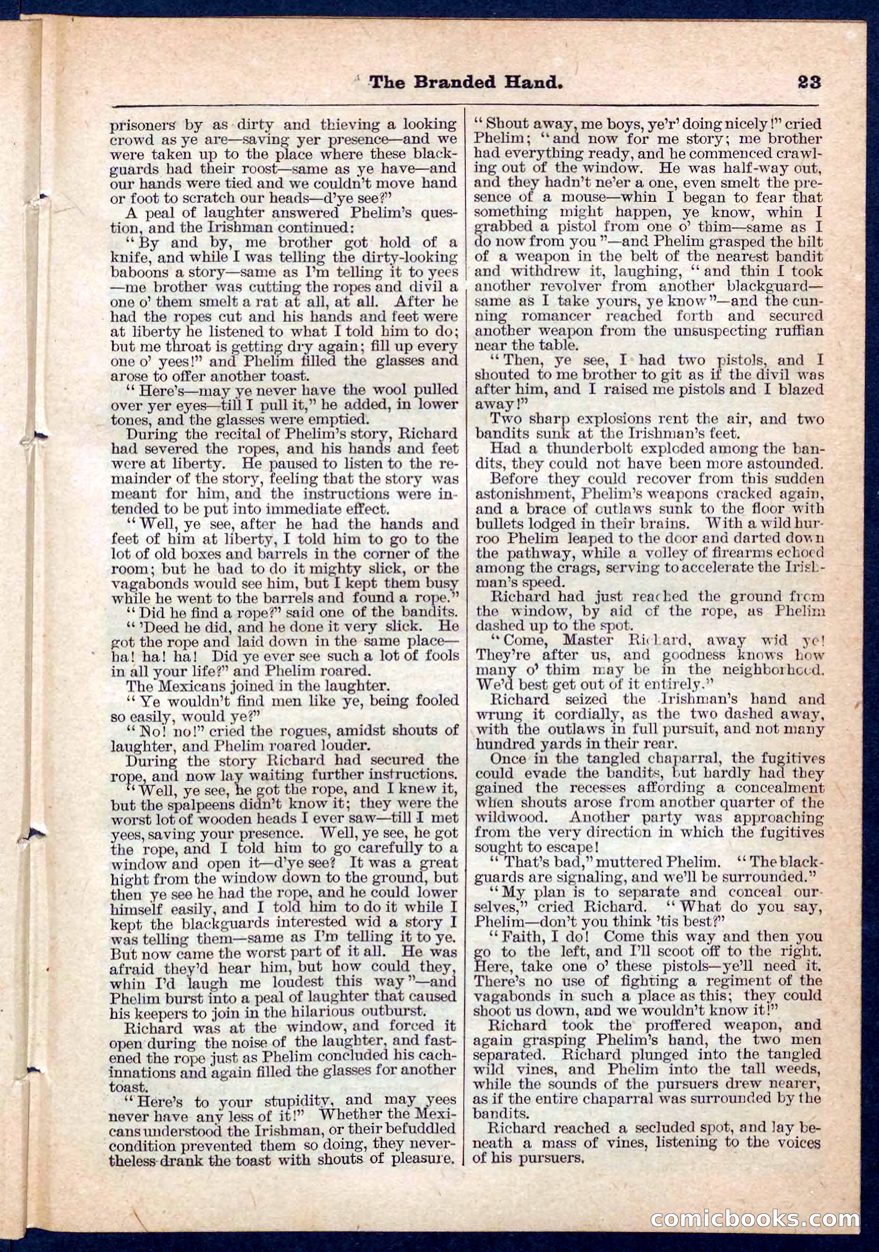 Beadle's Pocket Library No. 109 — page 22 of 32