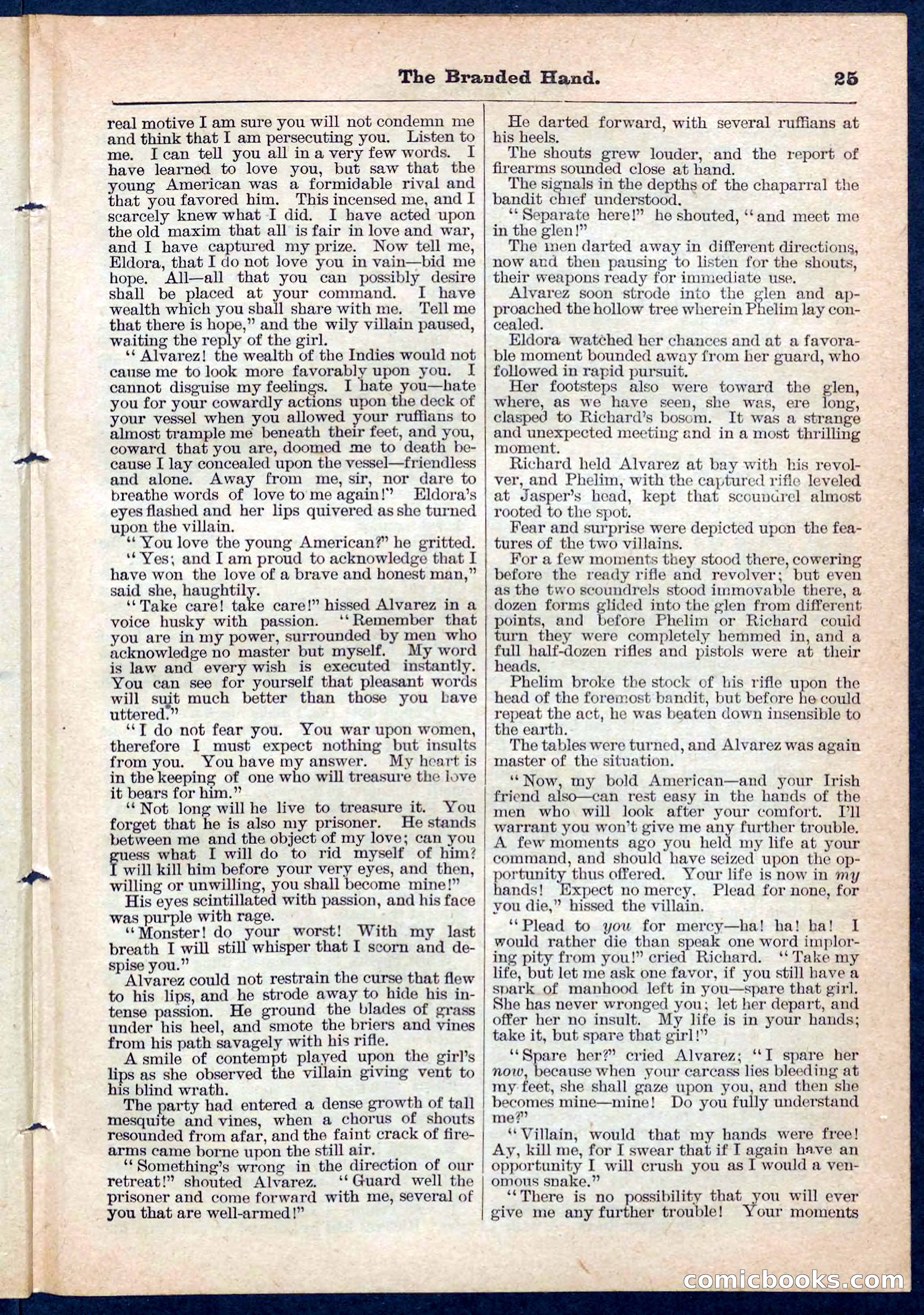 Beadle's Pocket Library No. 109 — page 24 of 32
