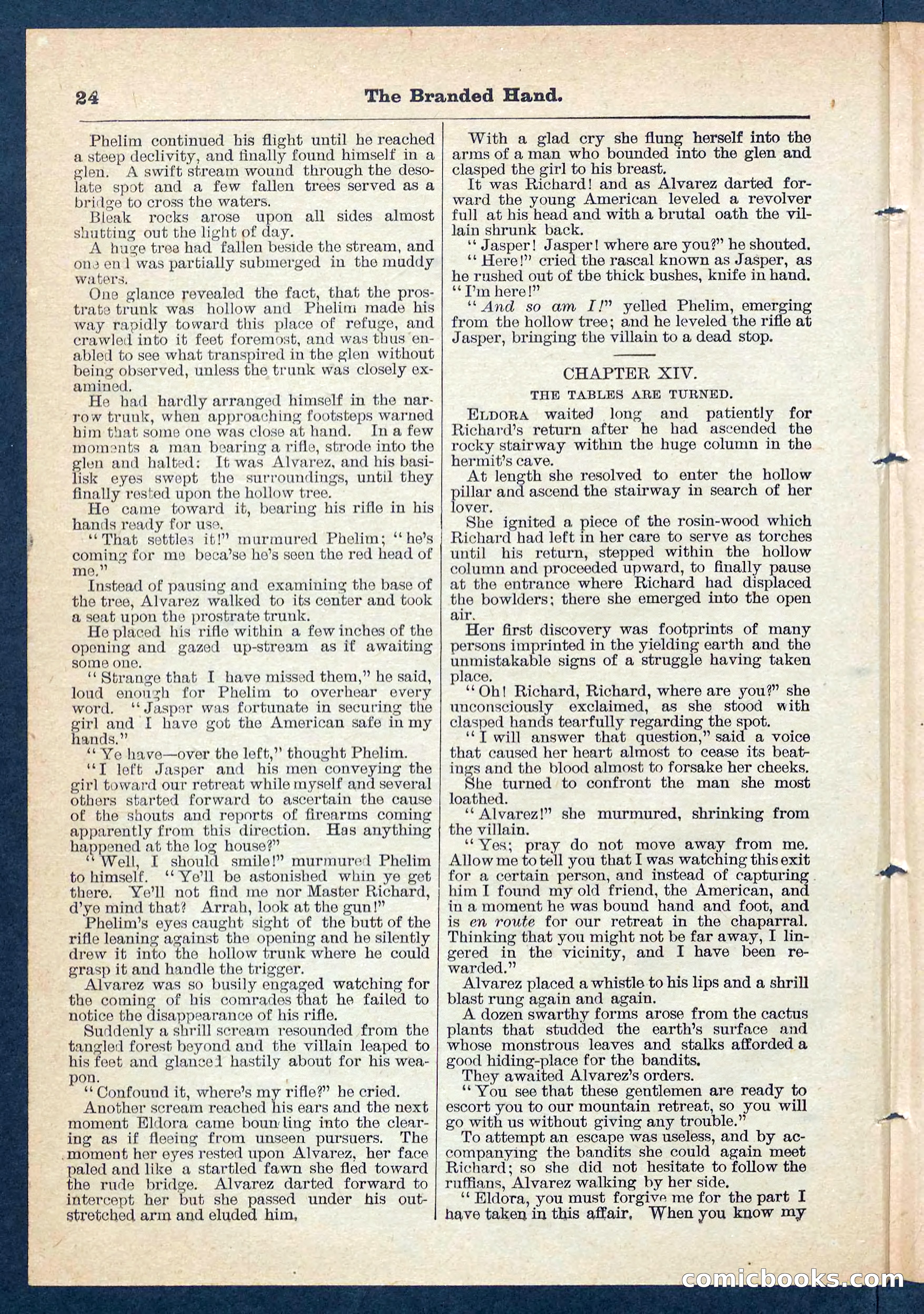 Beadle's Pocket Library No. 109 — page 25 of 32