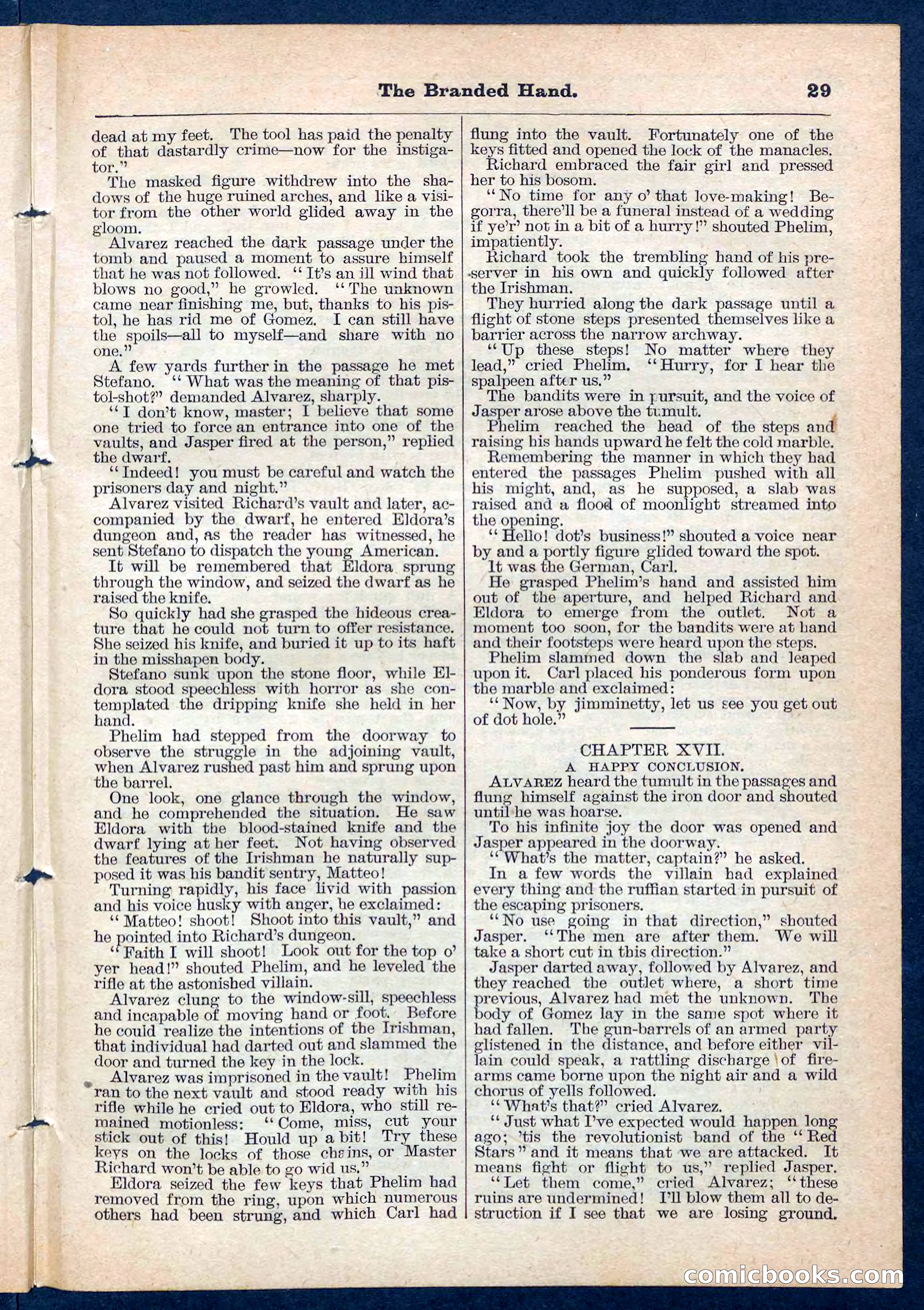 Beadle's Pocket Library No. 109 — page 29 of 32