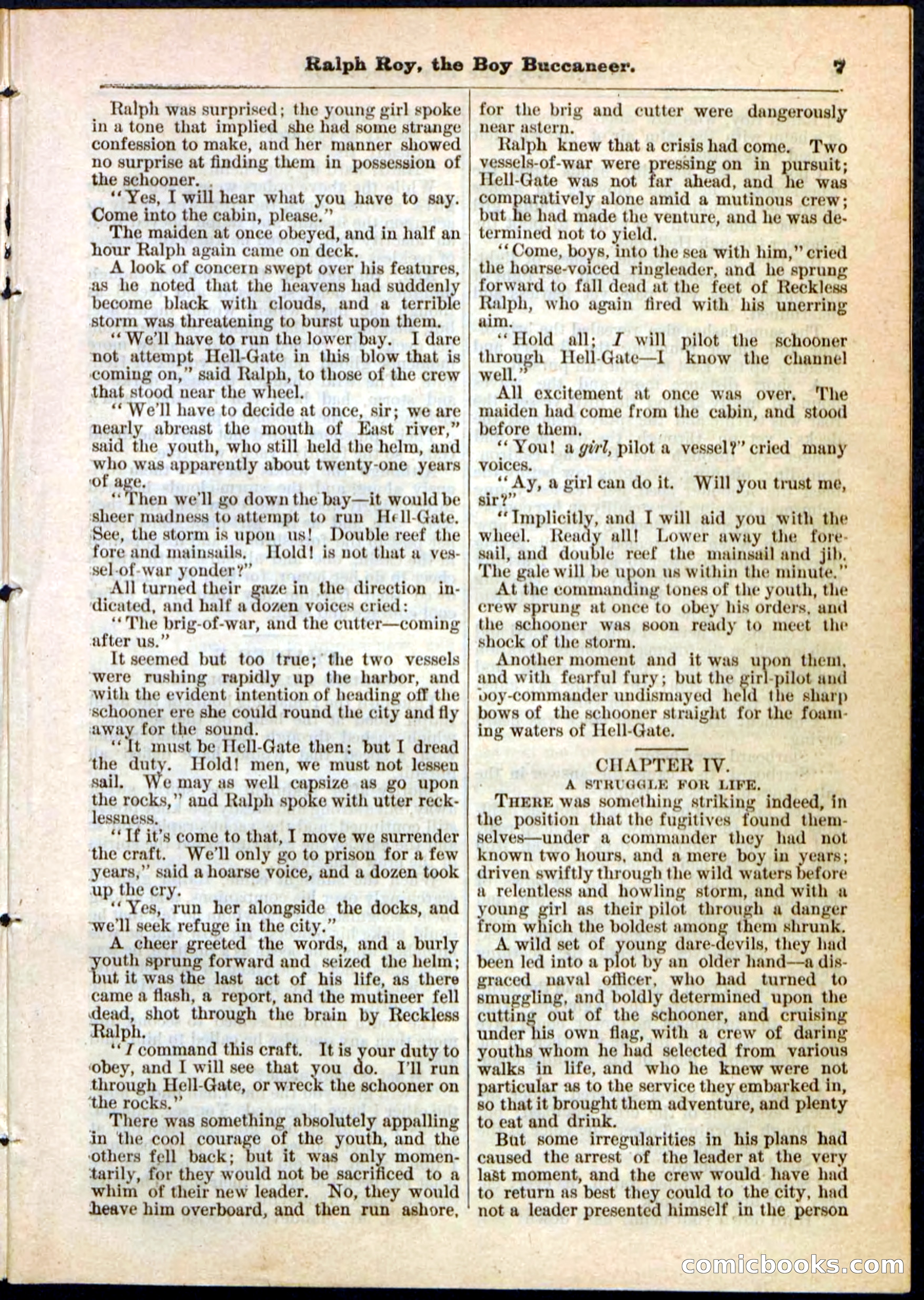 Beadle's Pocket Library No. 11 — page 7 of 32