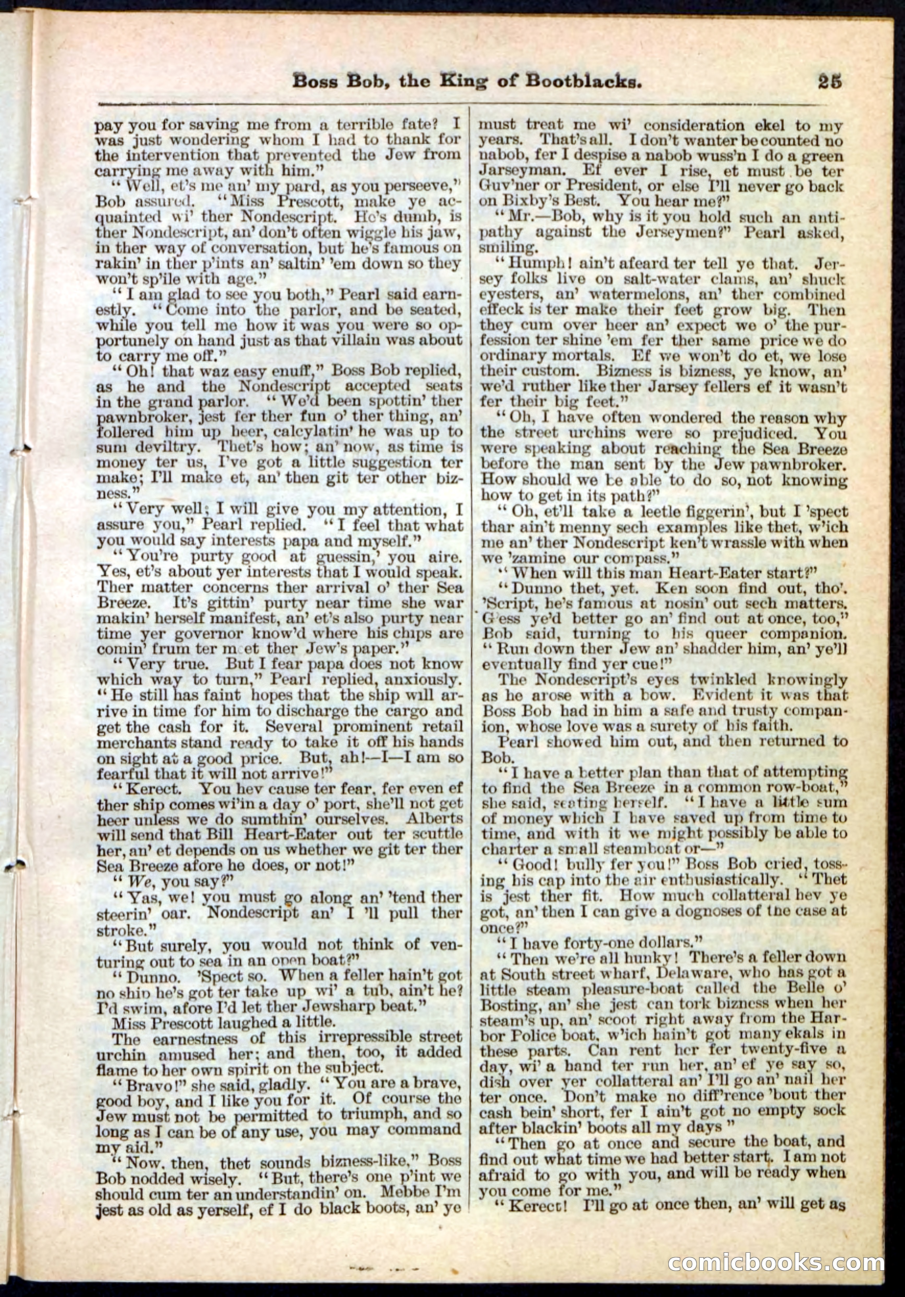 Beadle's Pocket Library No. 111 — page 25 of 32