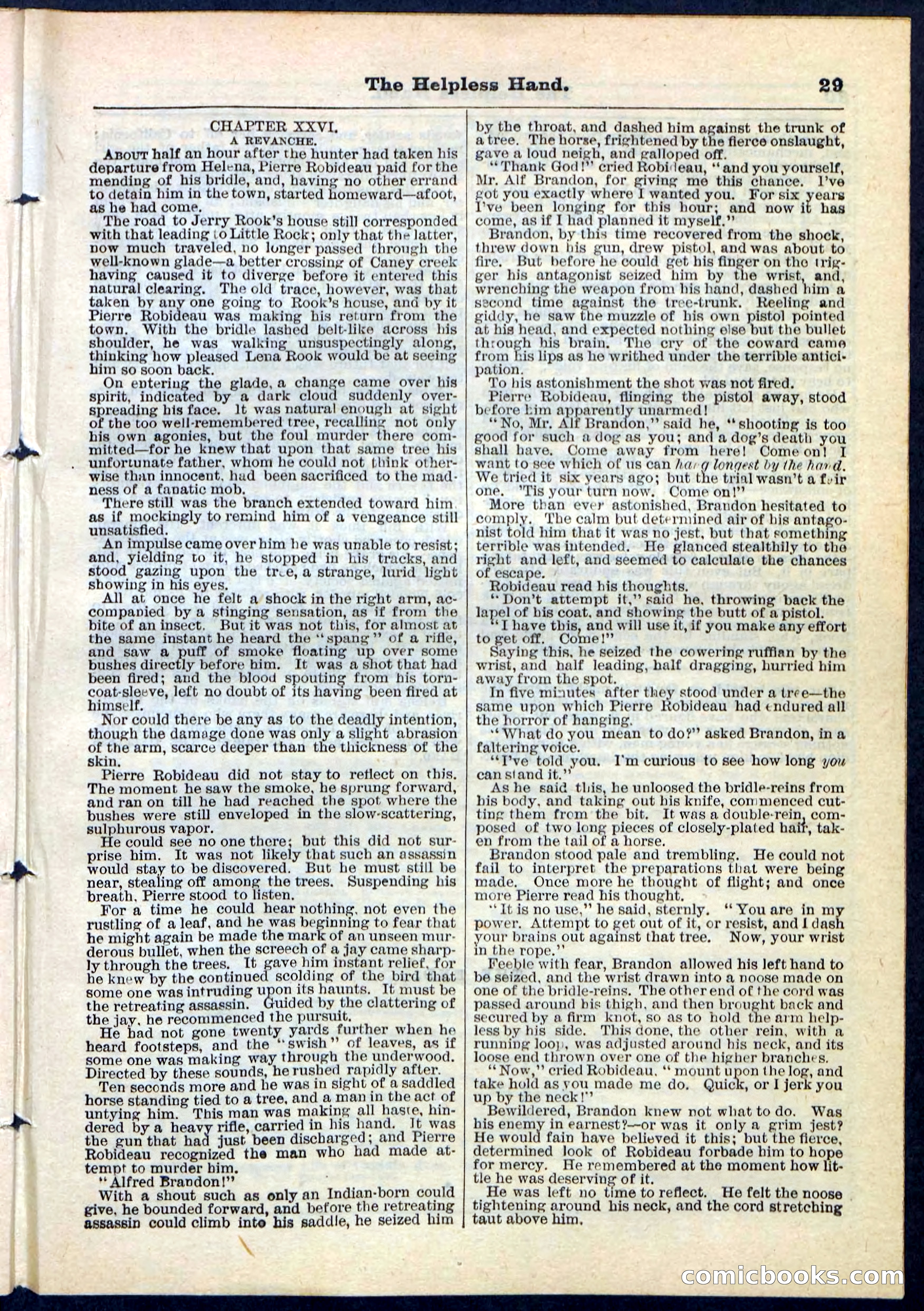 Beadle's Pocket Library, No. 112 — page 29 of 32