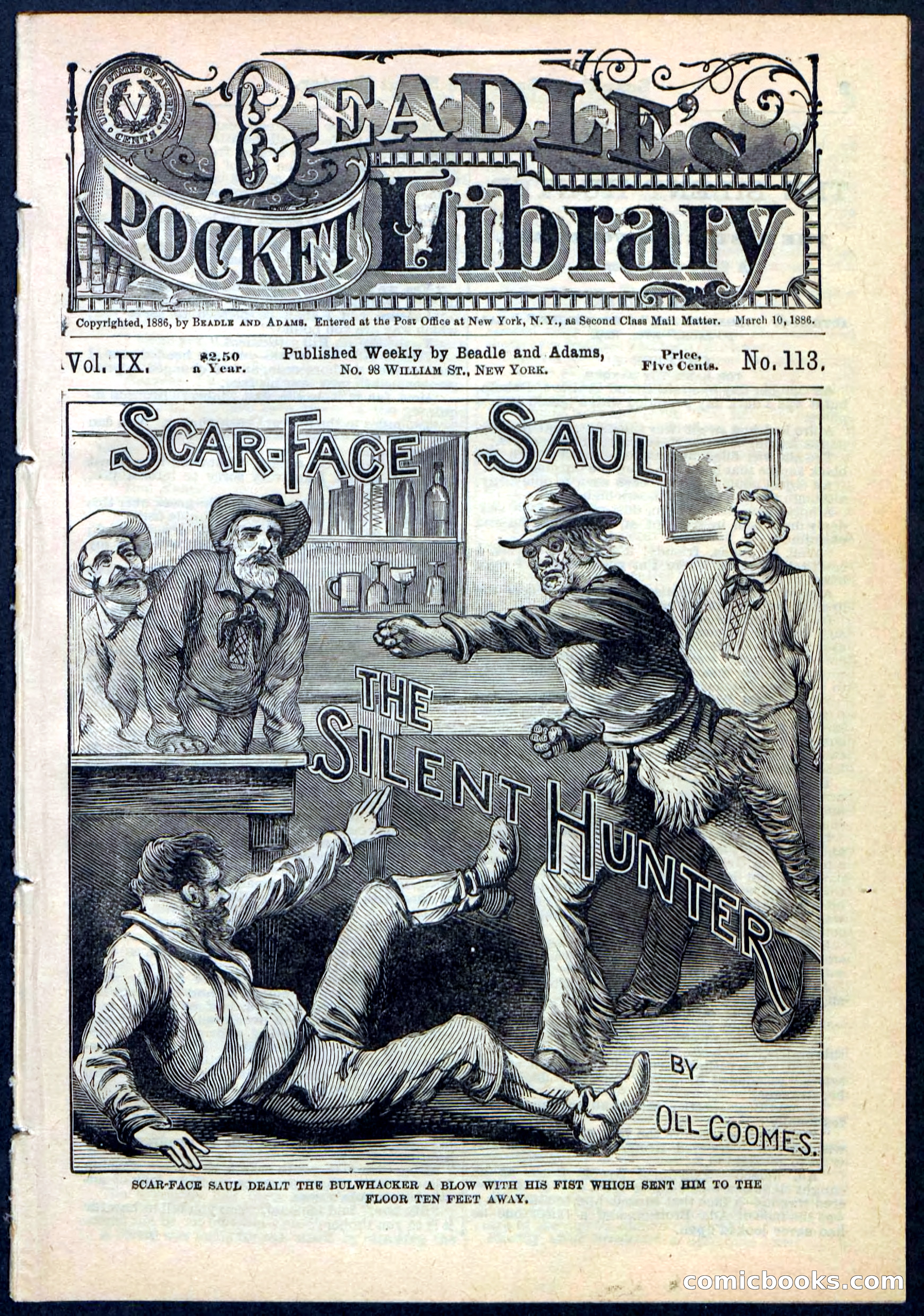 Beadle's Pocket Library No. 113 — page 1 of 32