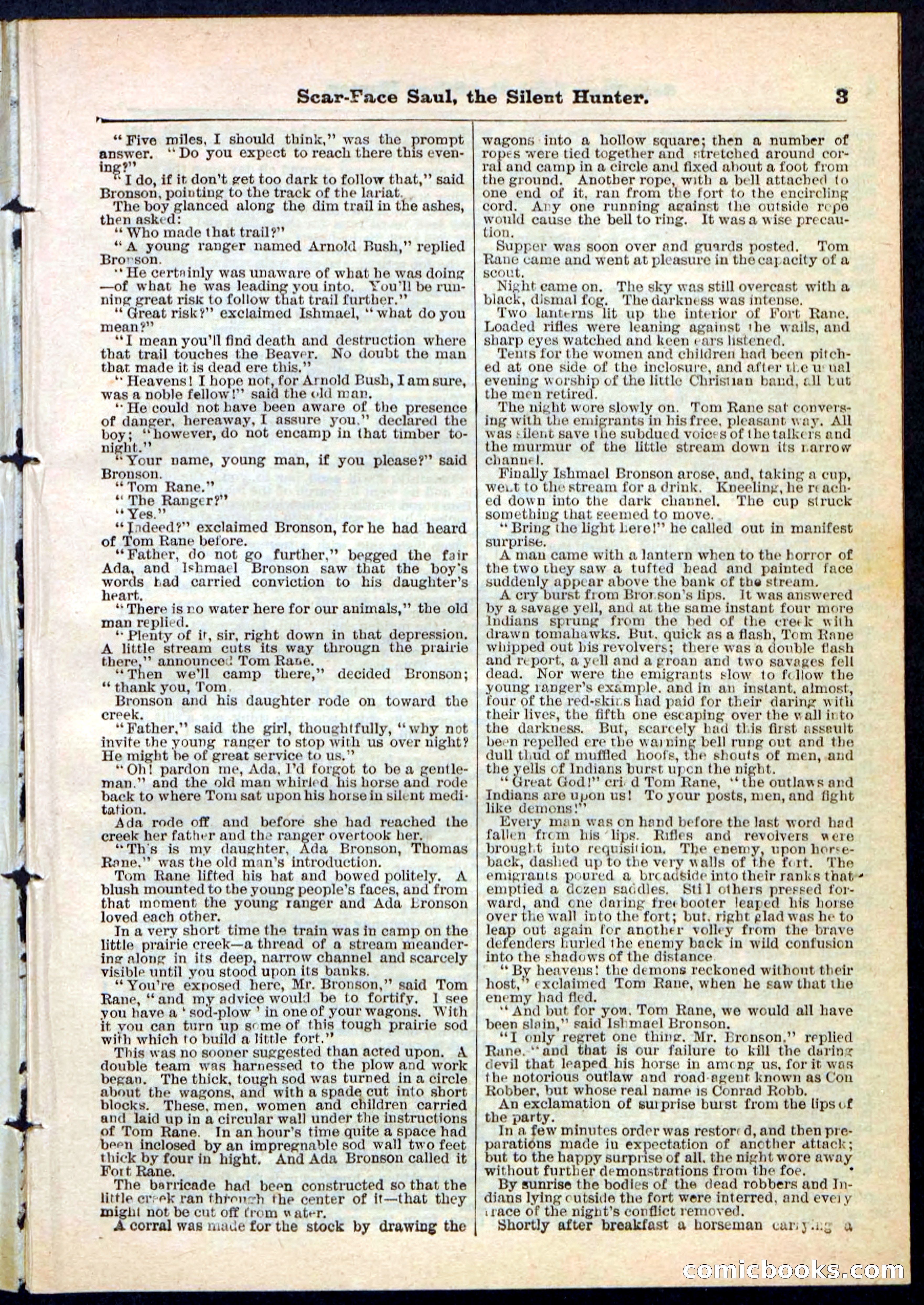Beadle's Pocket Library No. 113 — page 3 of 32