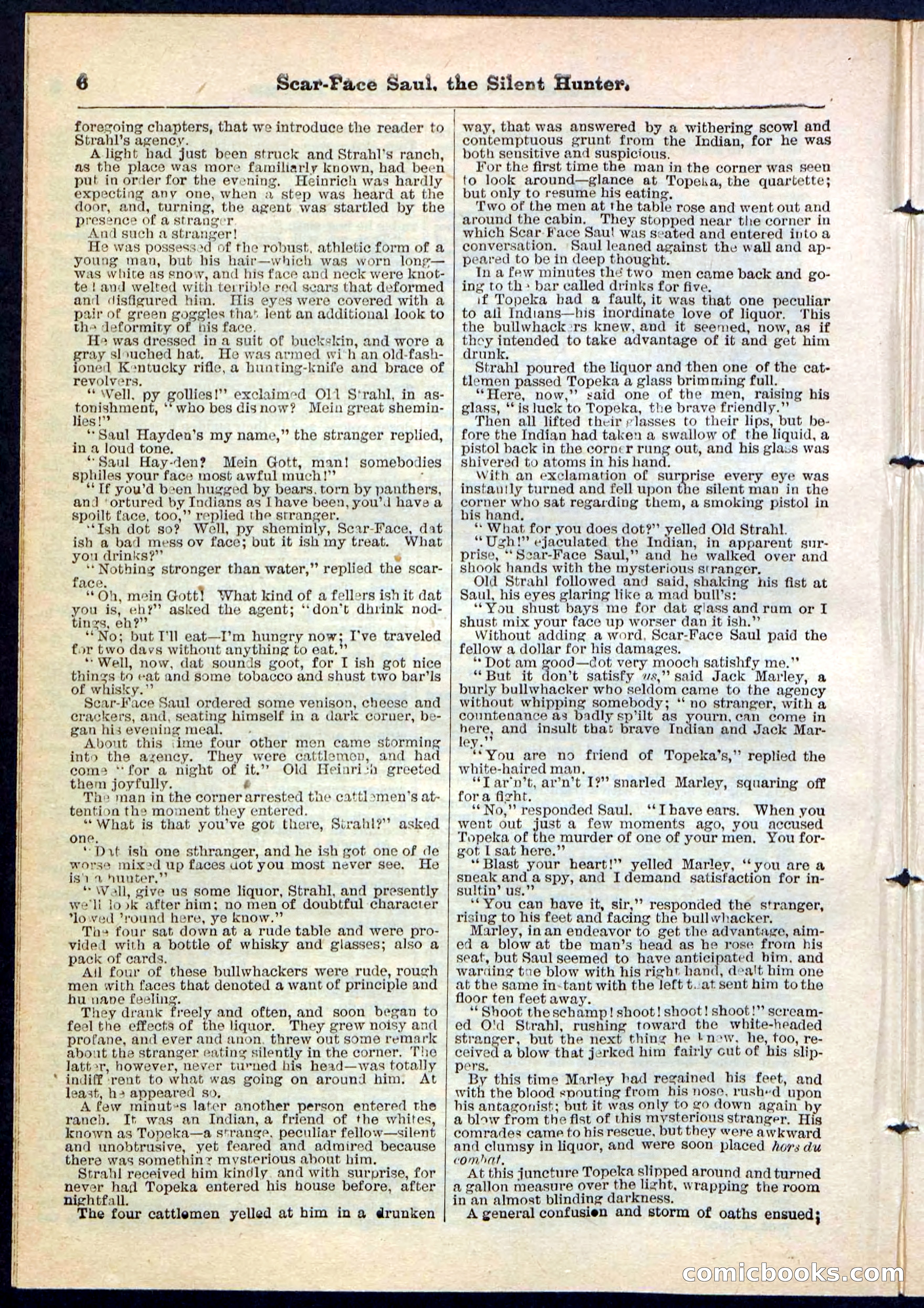 Beadle's Pocket Library No. 113 — page 6 of 32