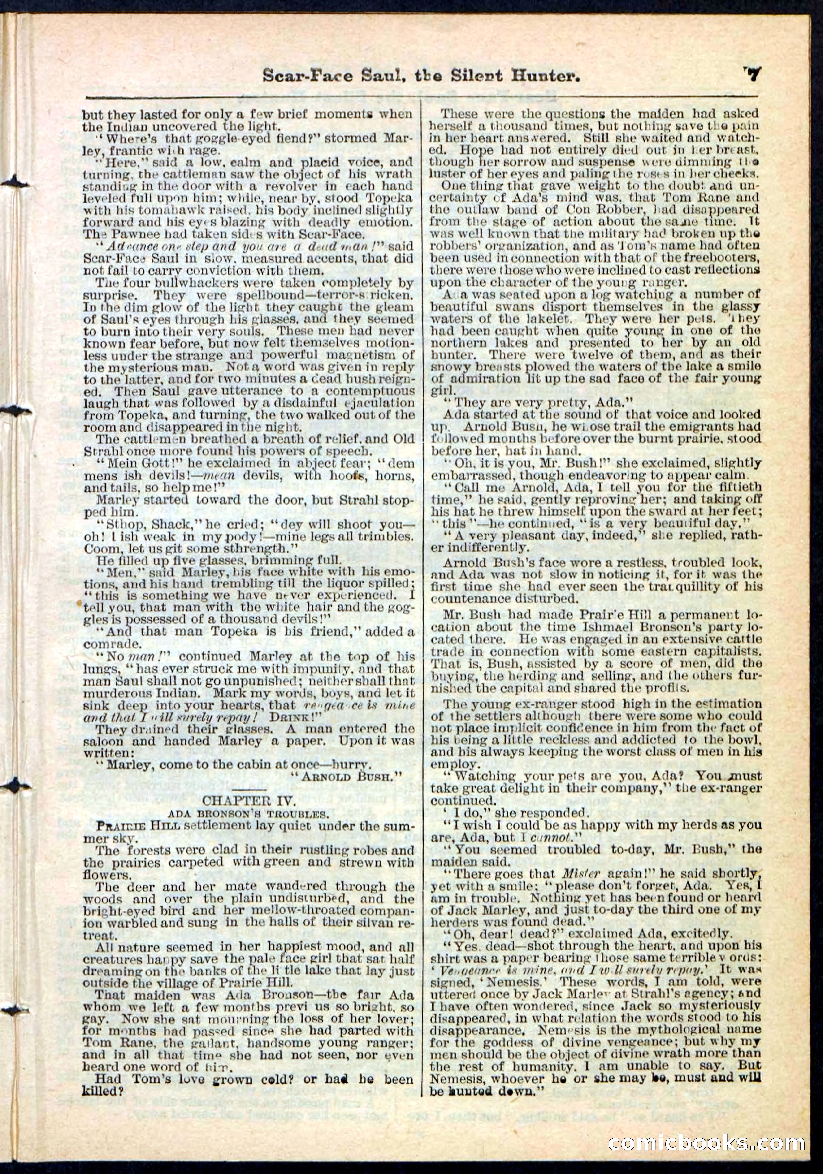Beadle's Pocket Library No. 113 — page 7 of 32