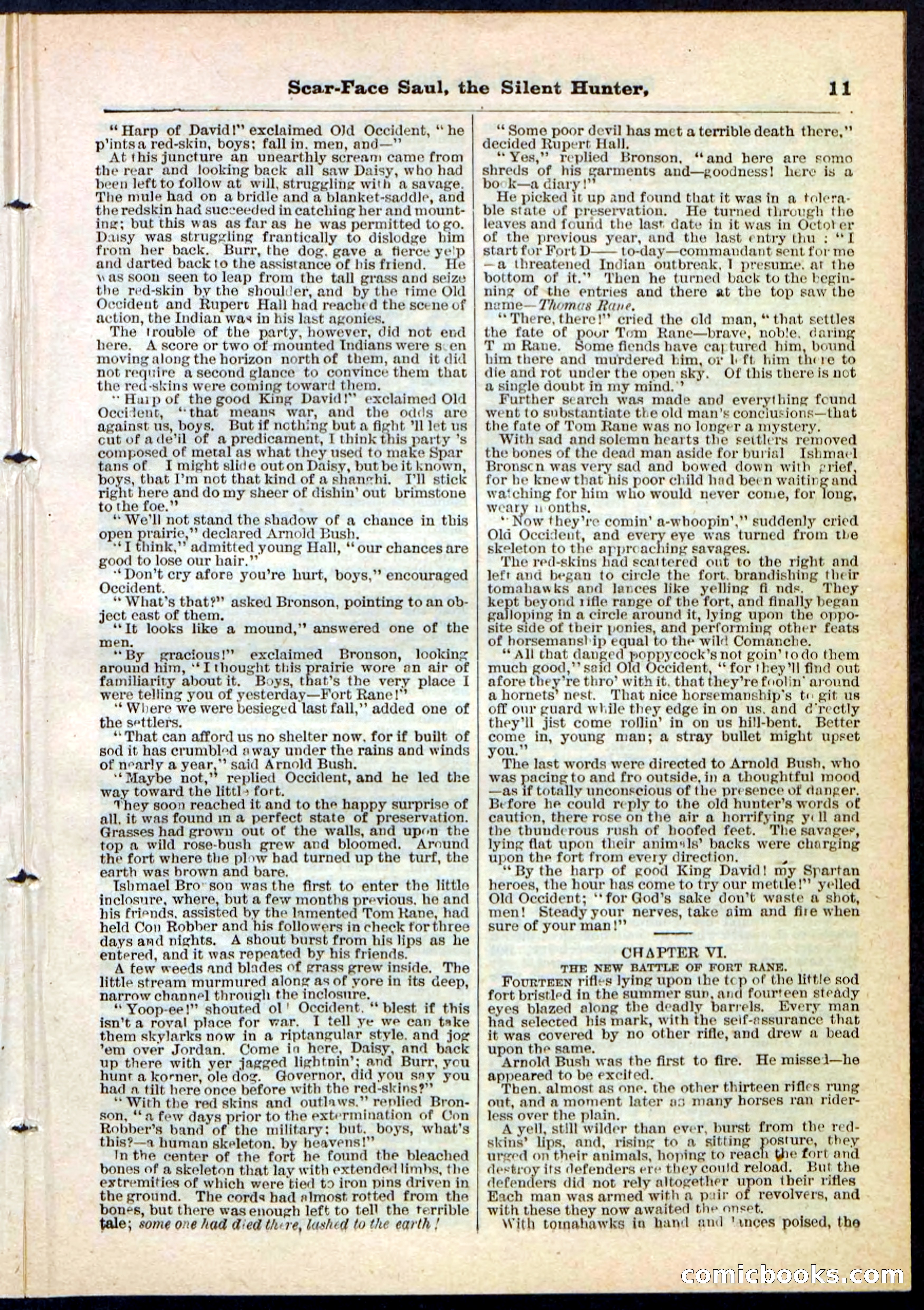 Beadle's Pocket Library No. 113 — page 11 of 32