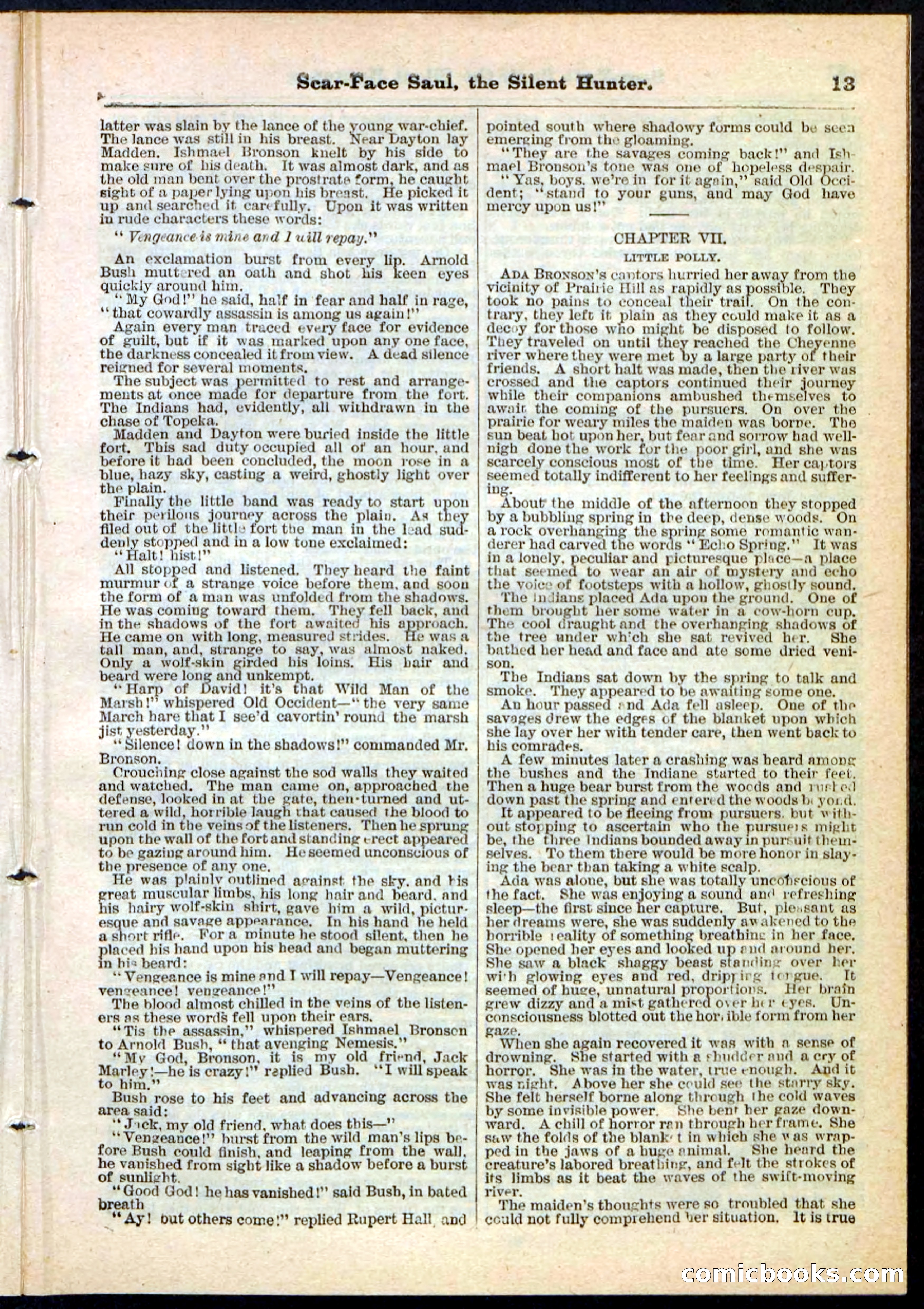 Beadle's Pocket Library No. 113 — page 13 of 32