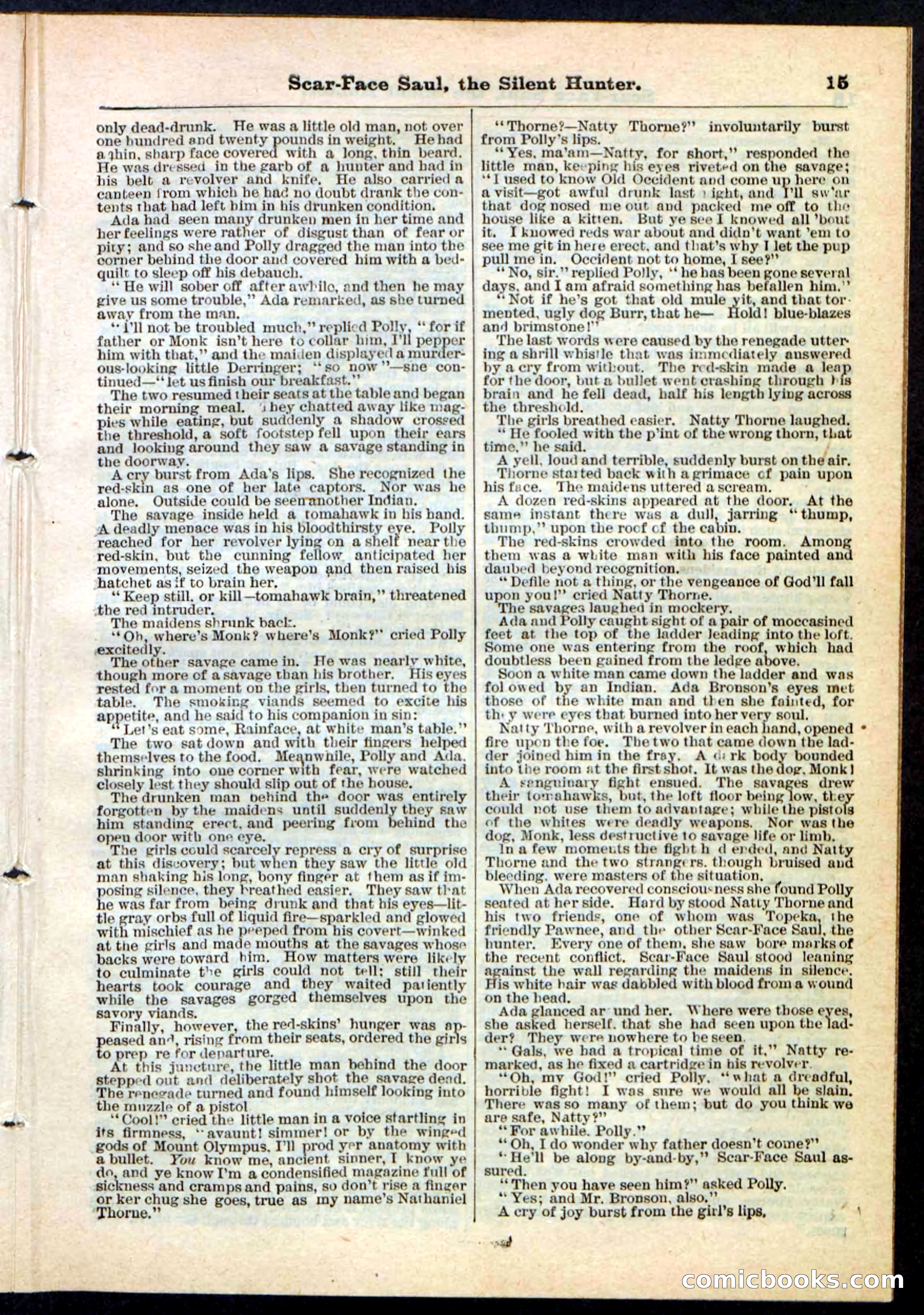 Beadle's Pocket Library No. 113 — page 15 of 32